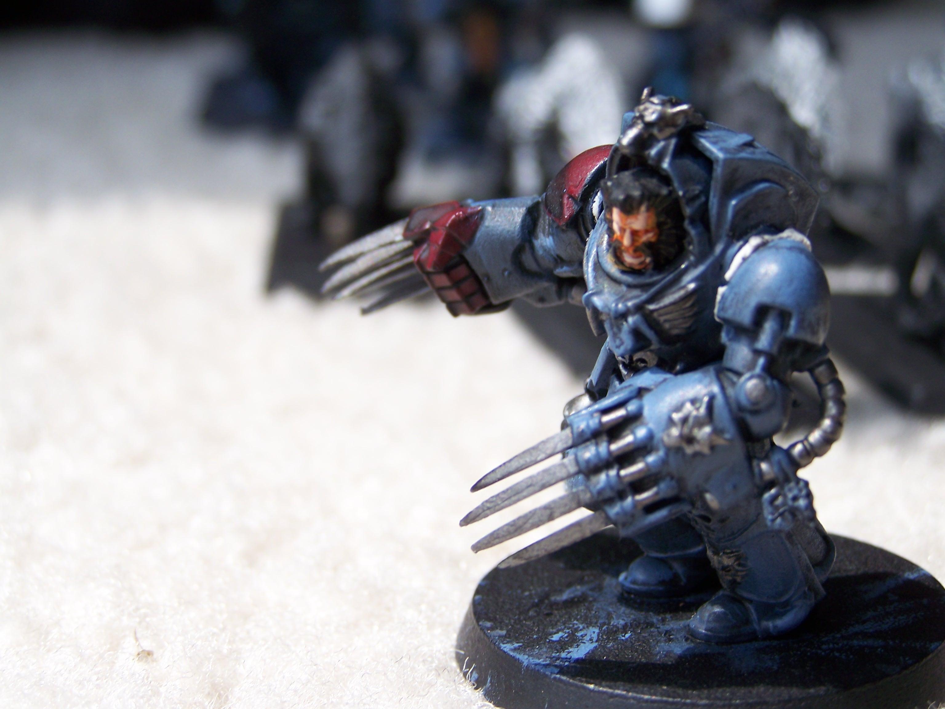 Wolverine WG