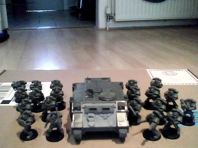 Imperial Fists, Start of my Army