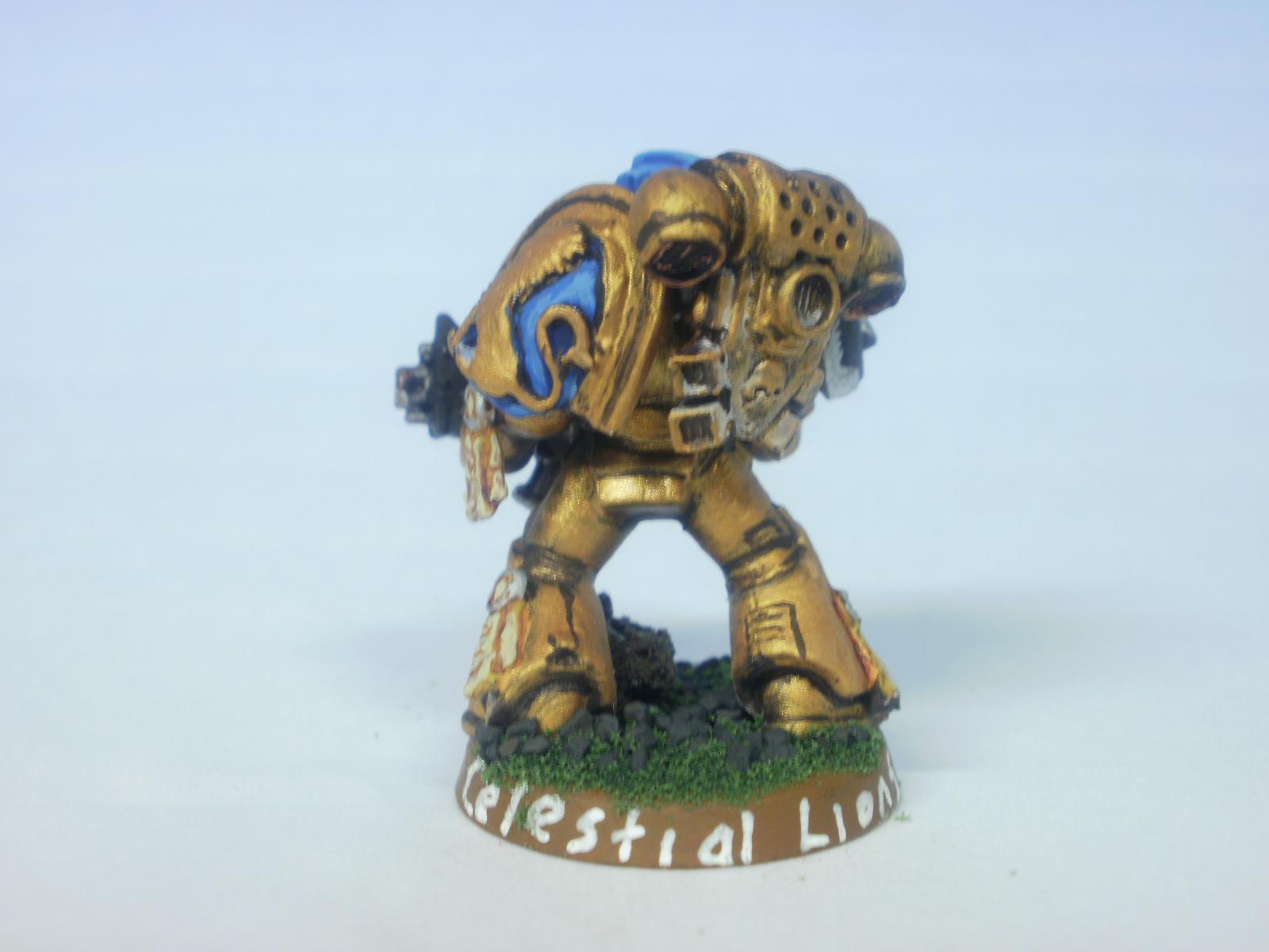 Celestial Lions - rear