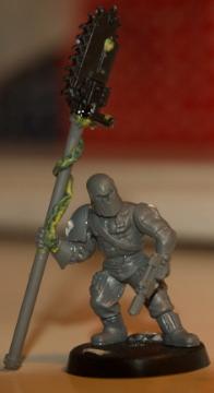 WIP bodyguard