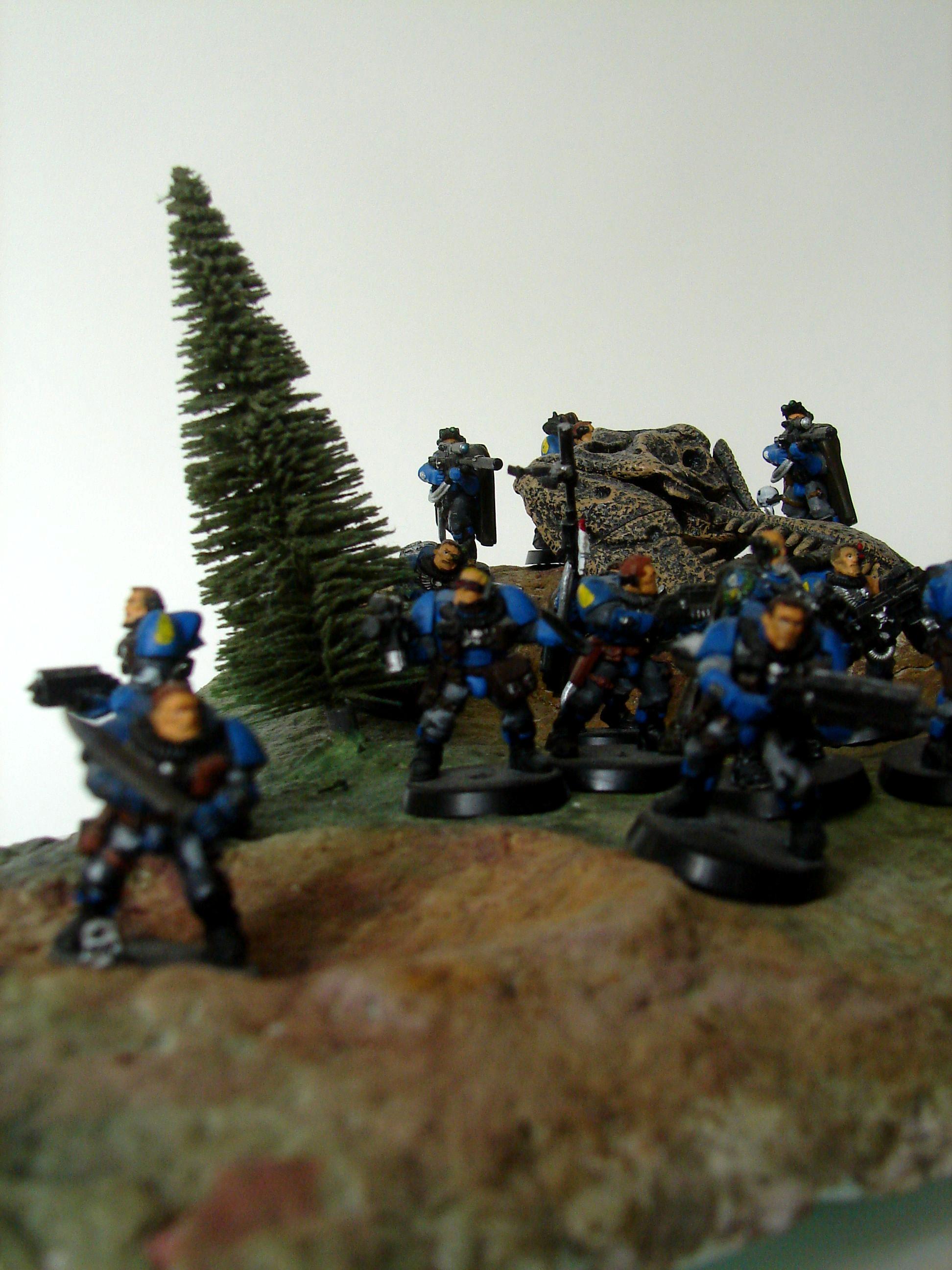 Homebrew, Infantry, Space Marines, Tactical, Warhammer 40,000, Warhammer Fantasy
