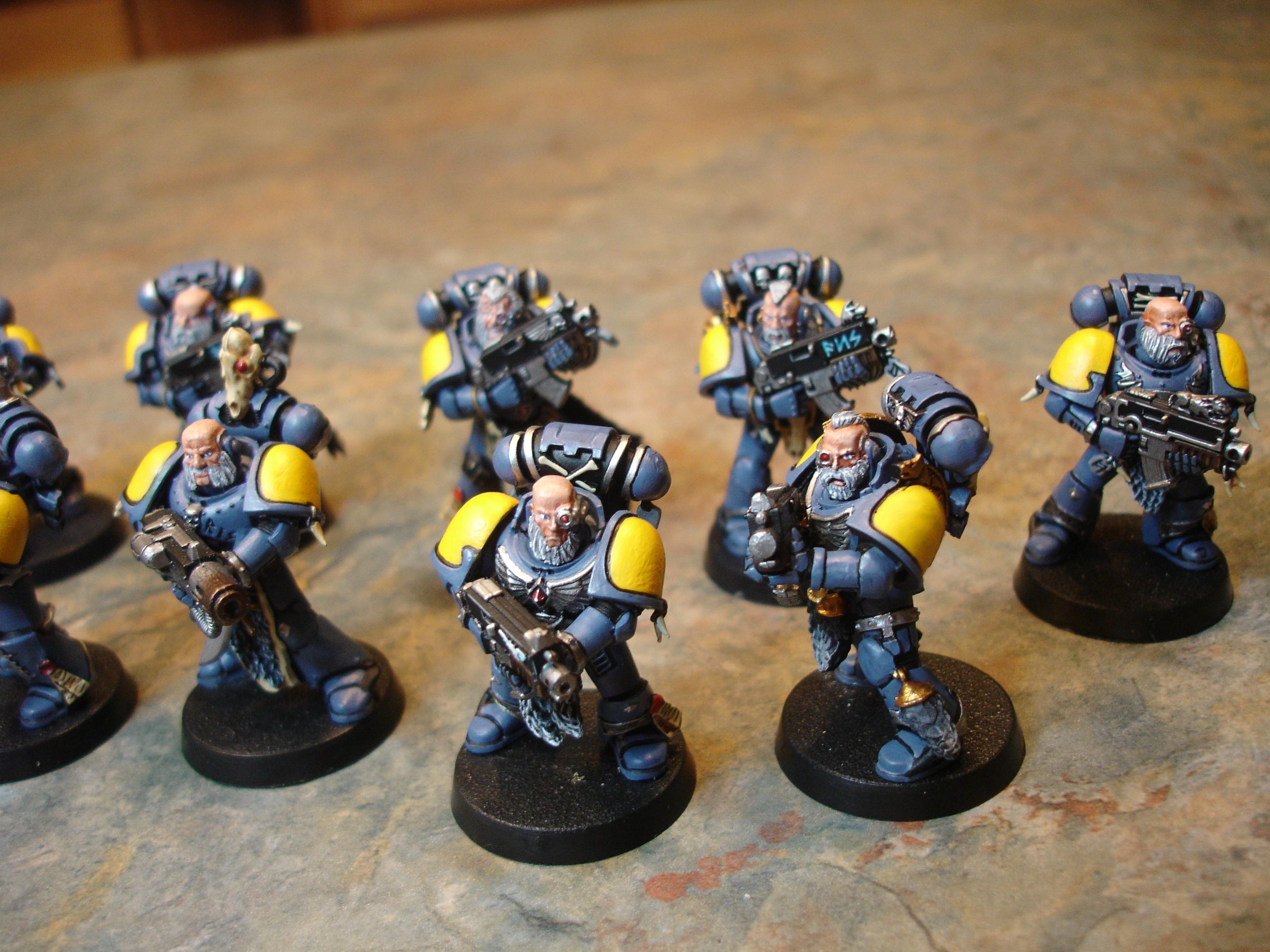 Grey Hunters, Grey Hunters Squad 2