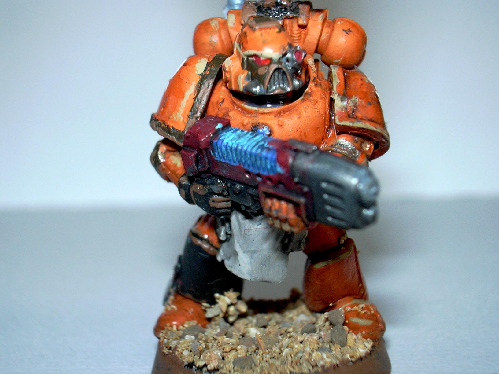 Gryphonne
