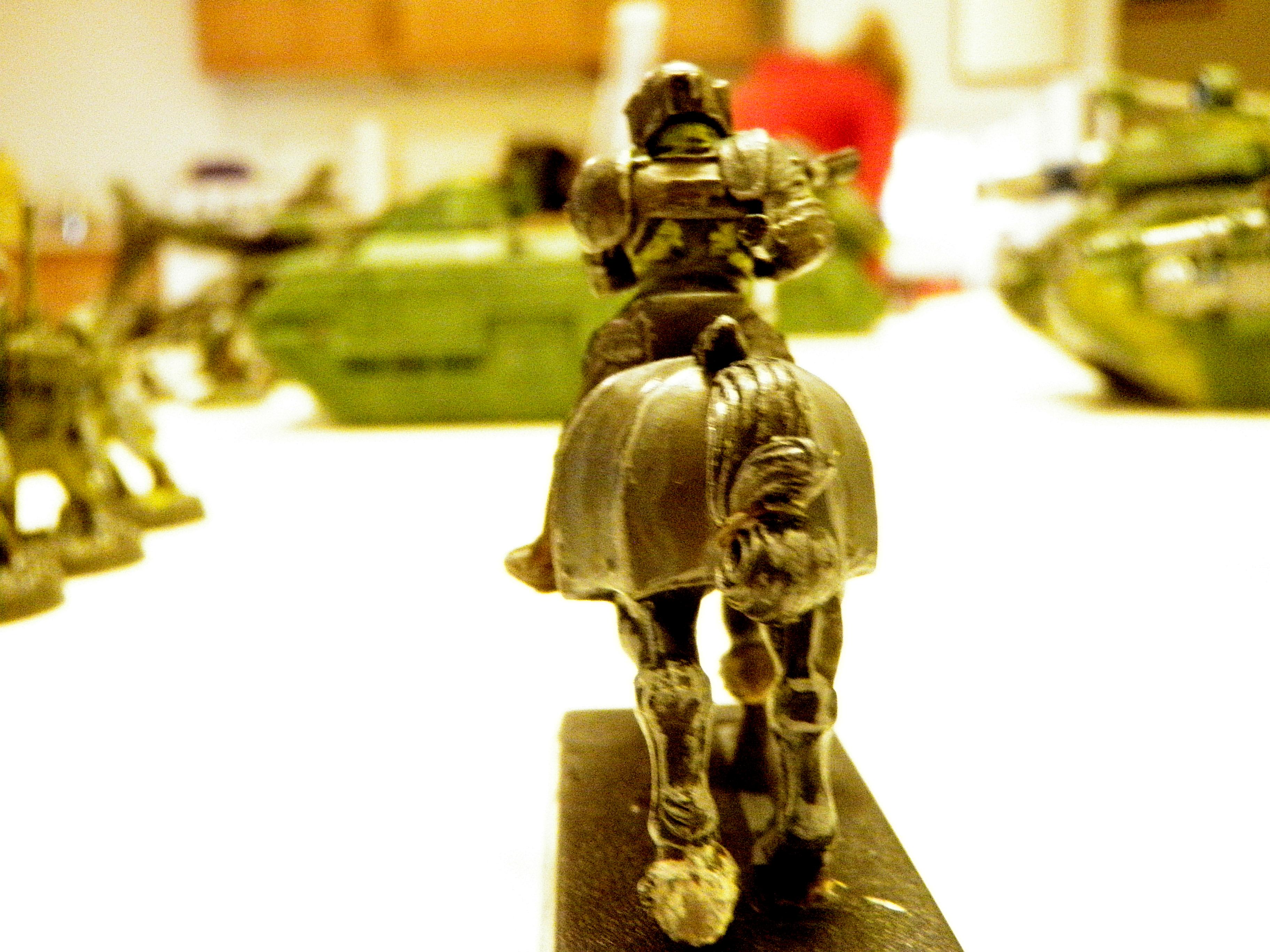 Armoured Roughrider 3