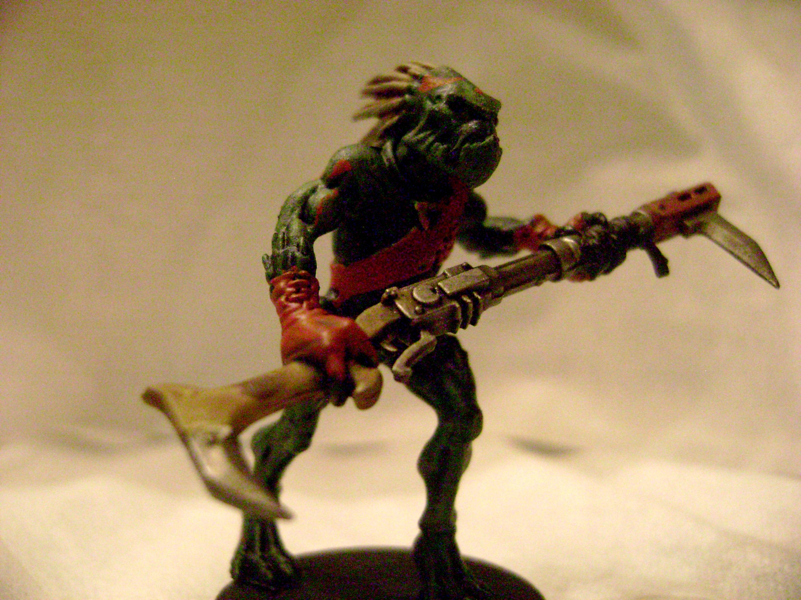 Kroot