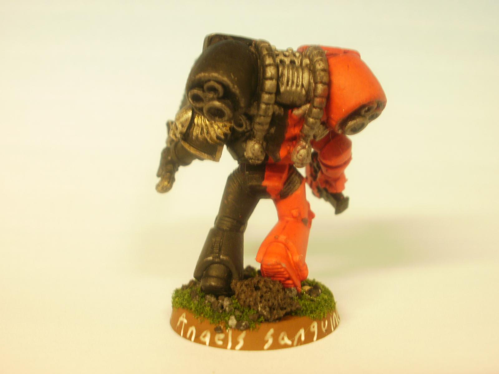 Angels Sanguine - rear