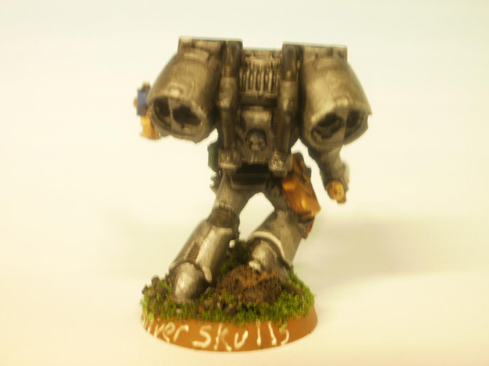 Silver Skulls - rear
