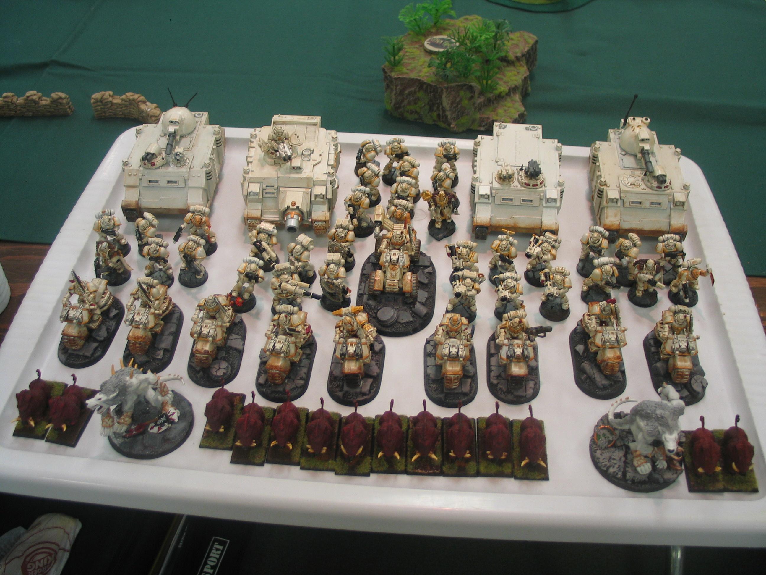 Space Wolves, Nova Open 2010 Army Pic 18