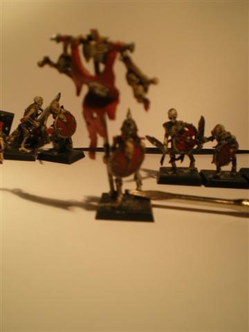 Stanard bearer and some more skeleton warriors