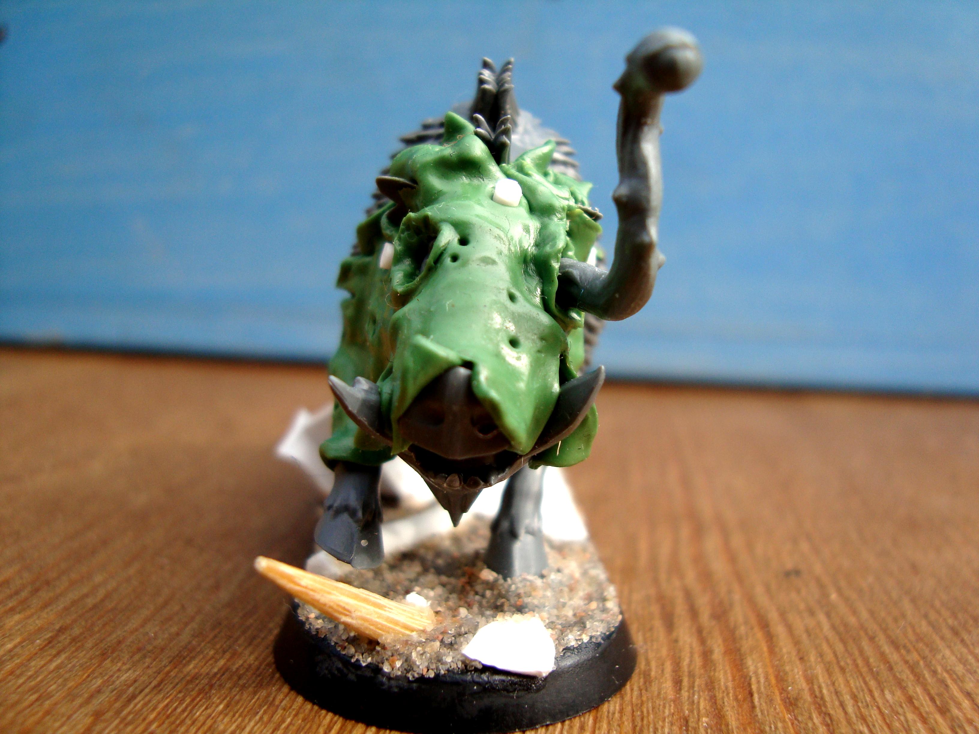 boar 1