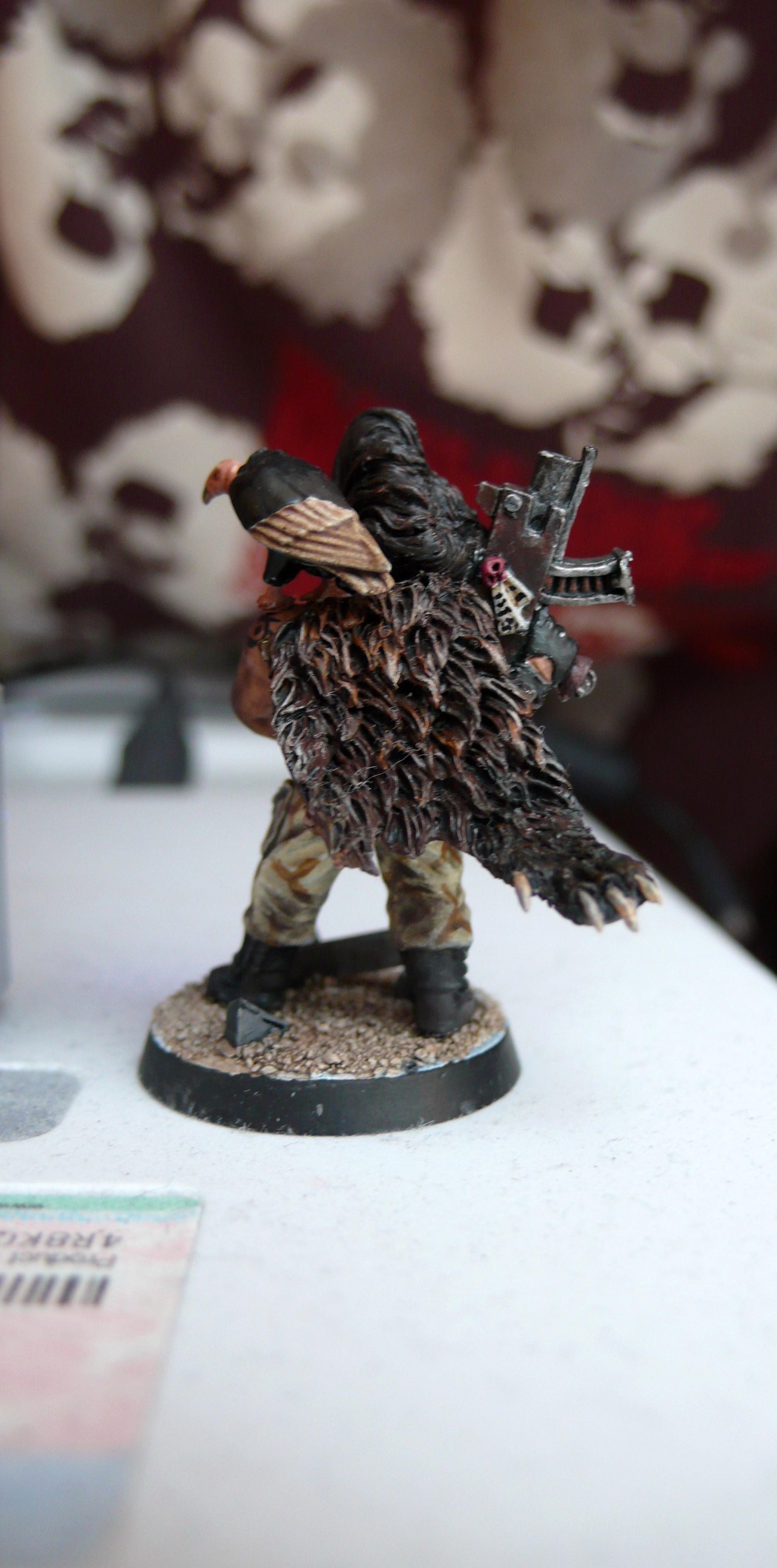 Bear, Gang, Pelt, Pet, Vulture