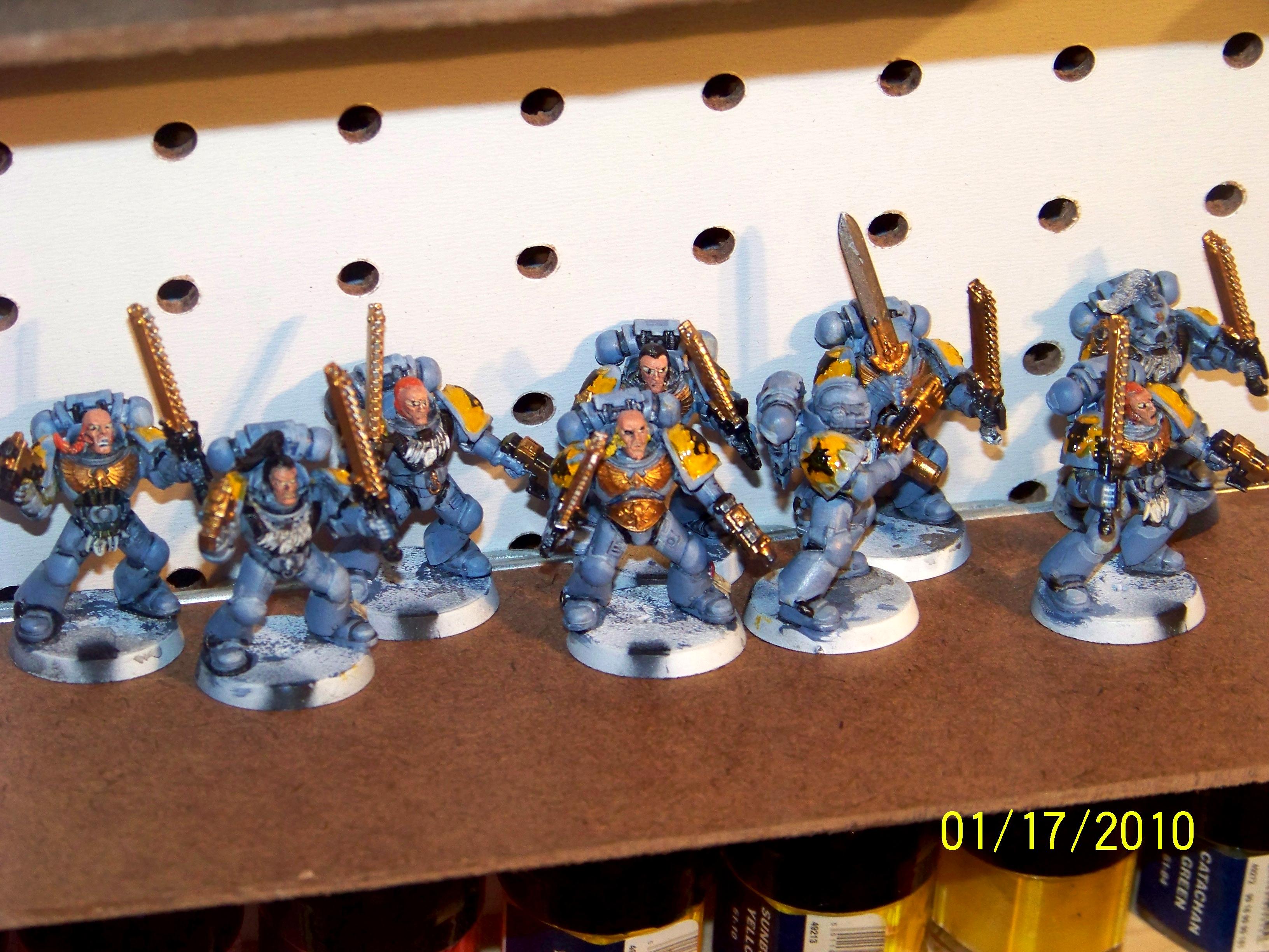 Work In Progress, Grey Hunters WIP