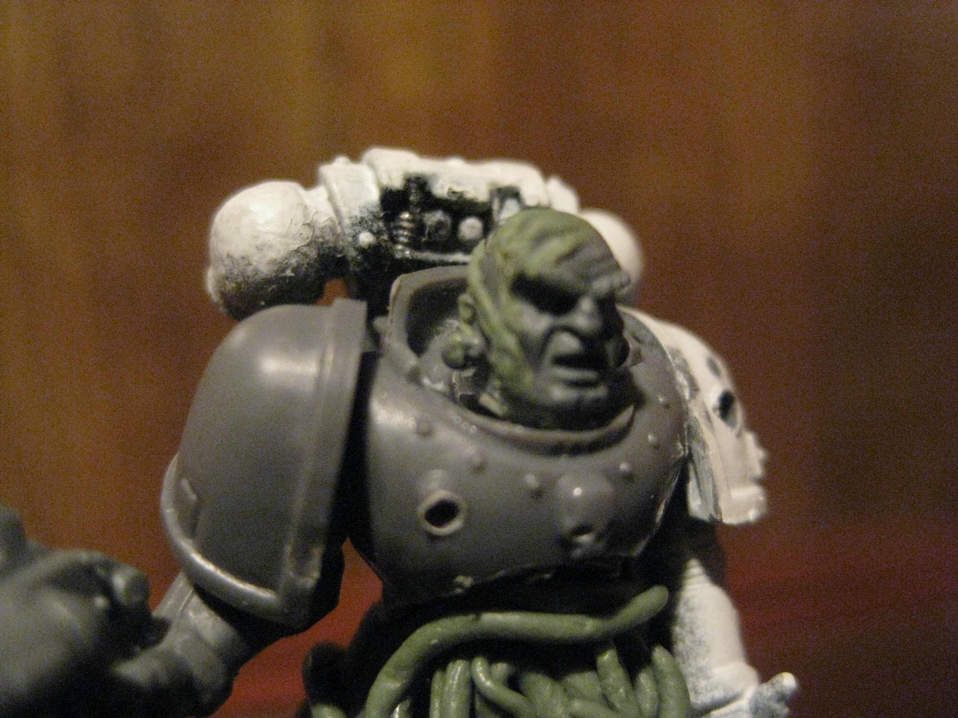 Greenstuff