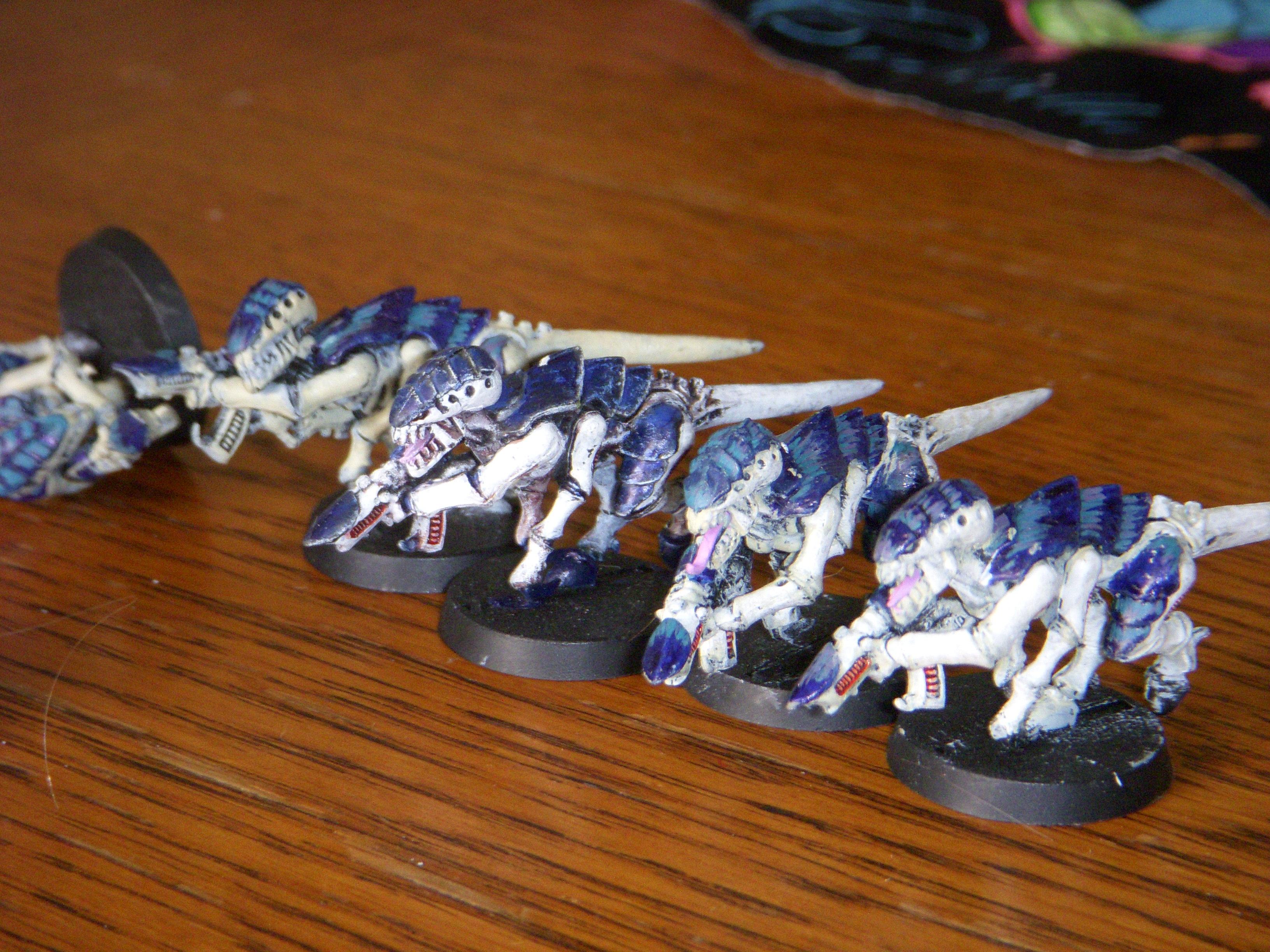 Gaunts, Tyranids, Dev Gaunts