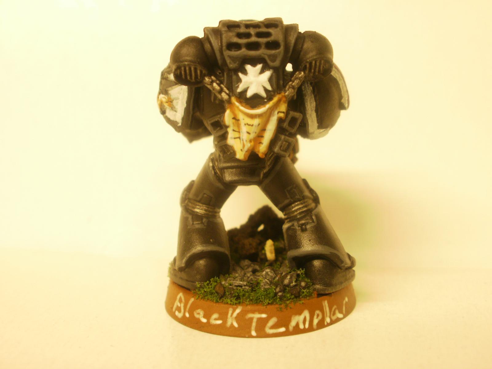 Black Templar - rear