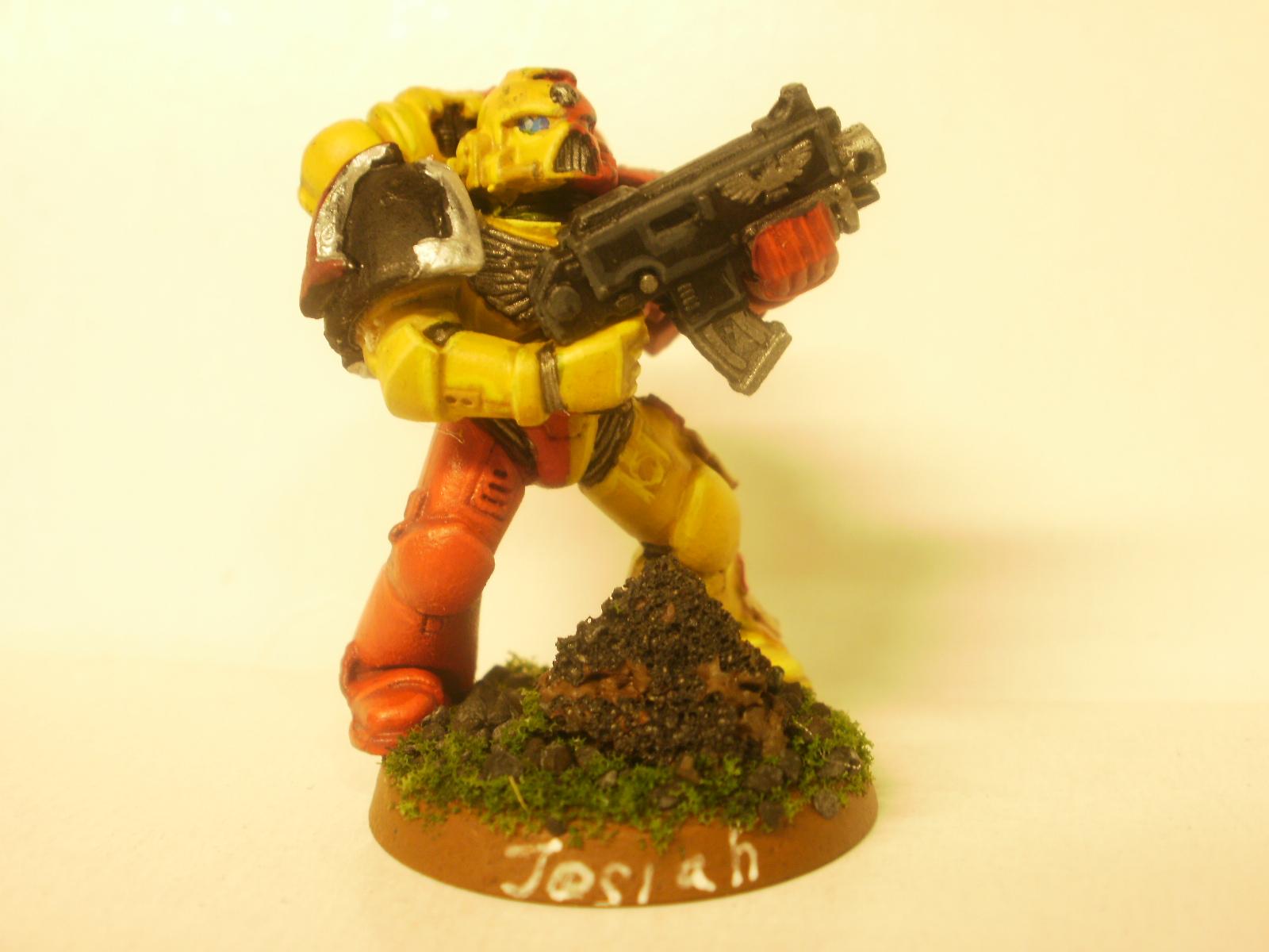 Howling Griffon - front
