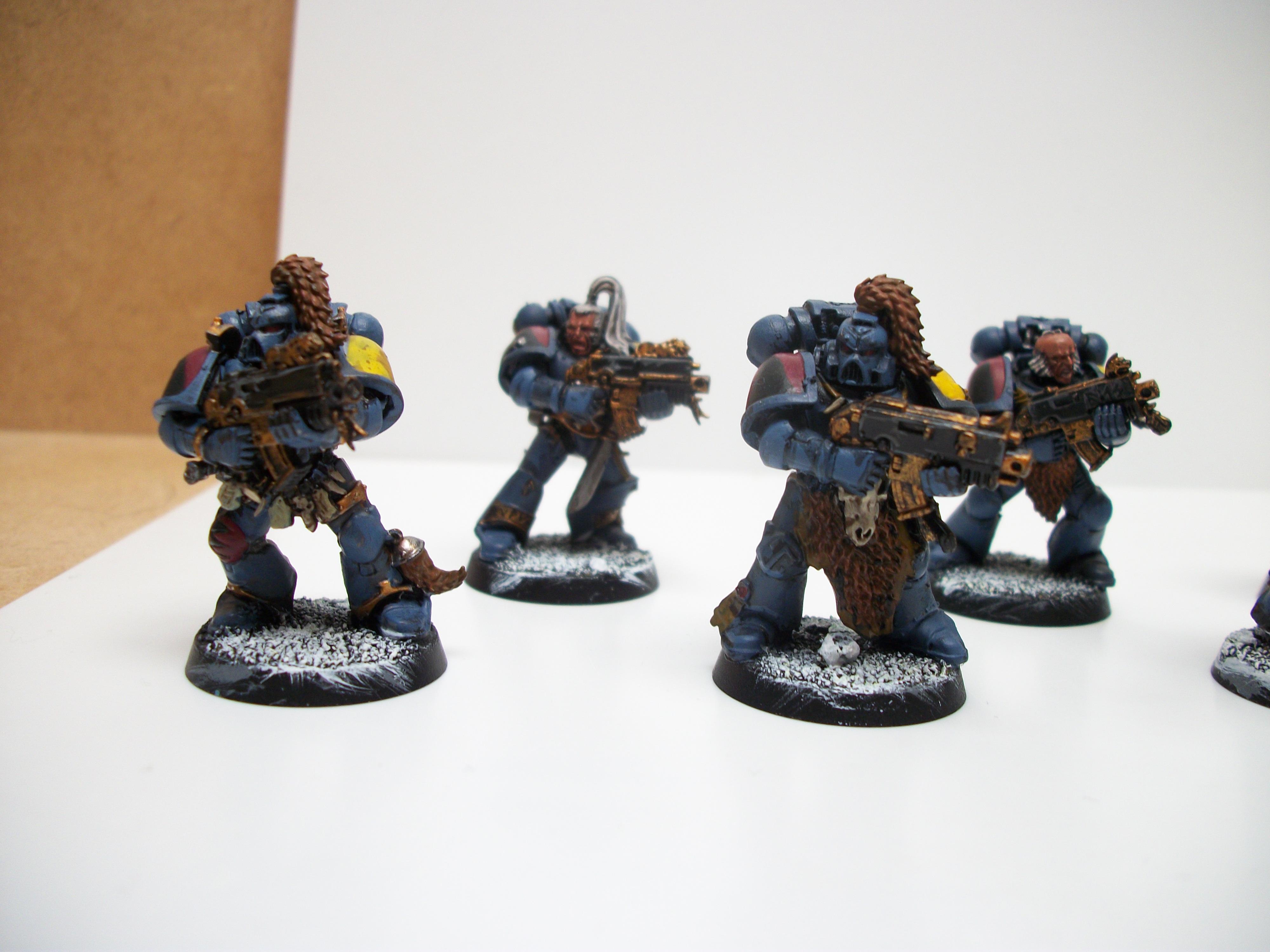Grey Hunter, Grey hunters squad 2