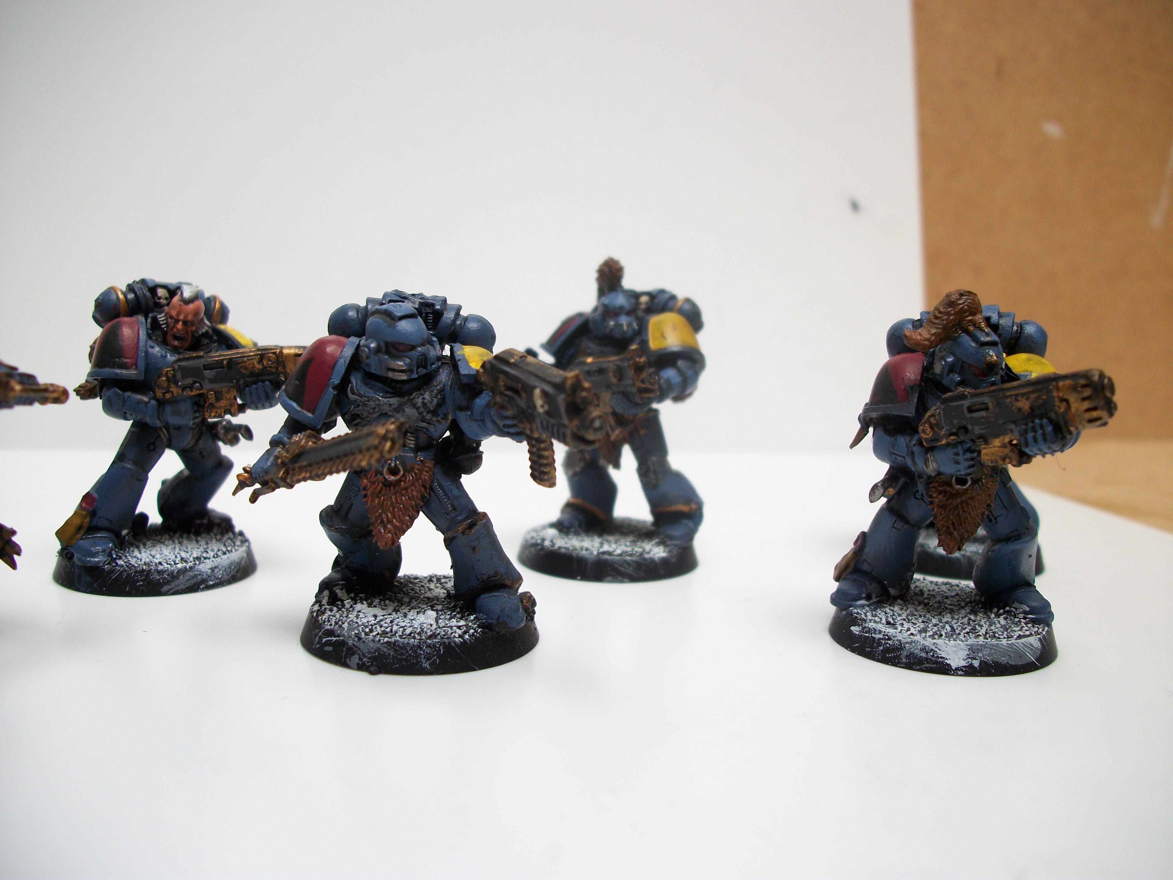 Grey Hunter, Grey hunters squad 2