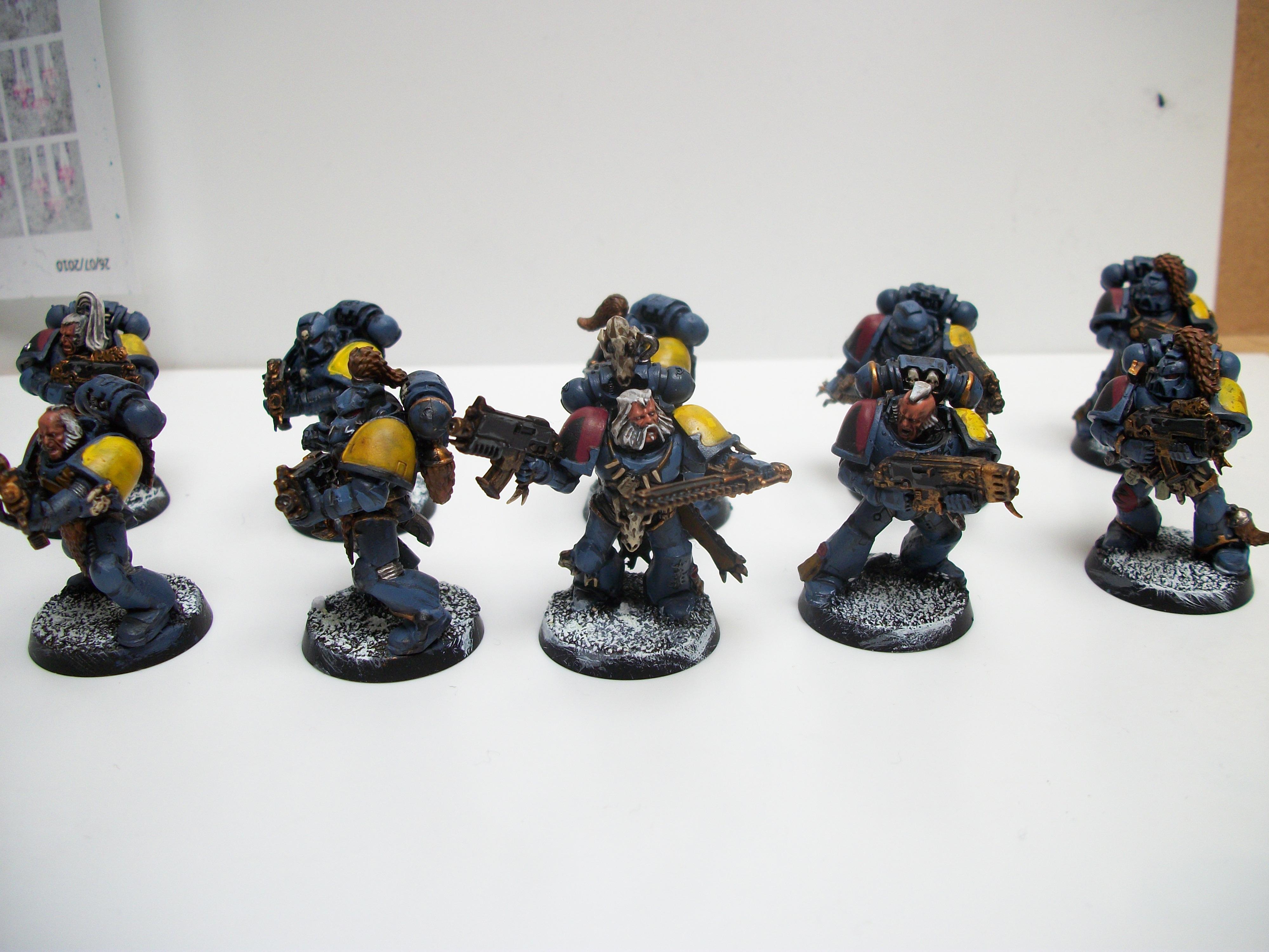 Grey Hunters, Space Wolves