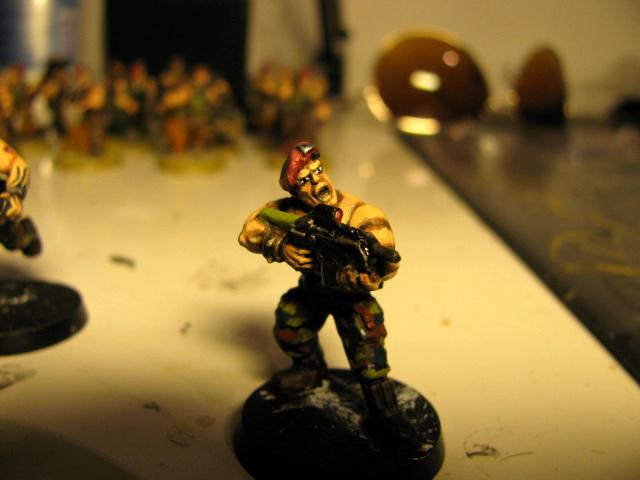 3rd, Belgium, Camouflage, Conversion, Darkon, Imperial Guard, Veteran, Warhammer 40,000, Work In Progress