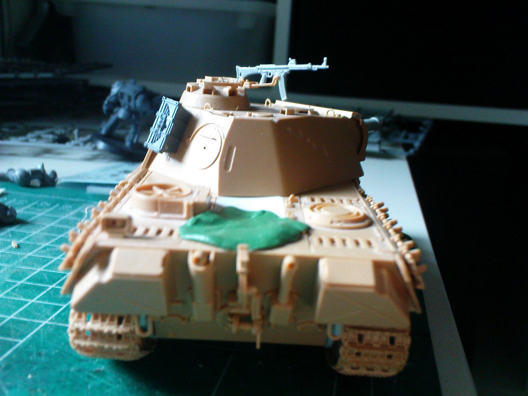 Panther details