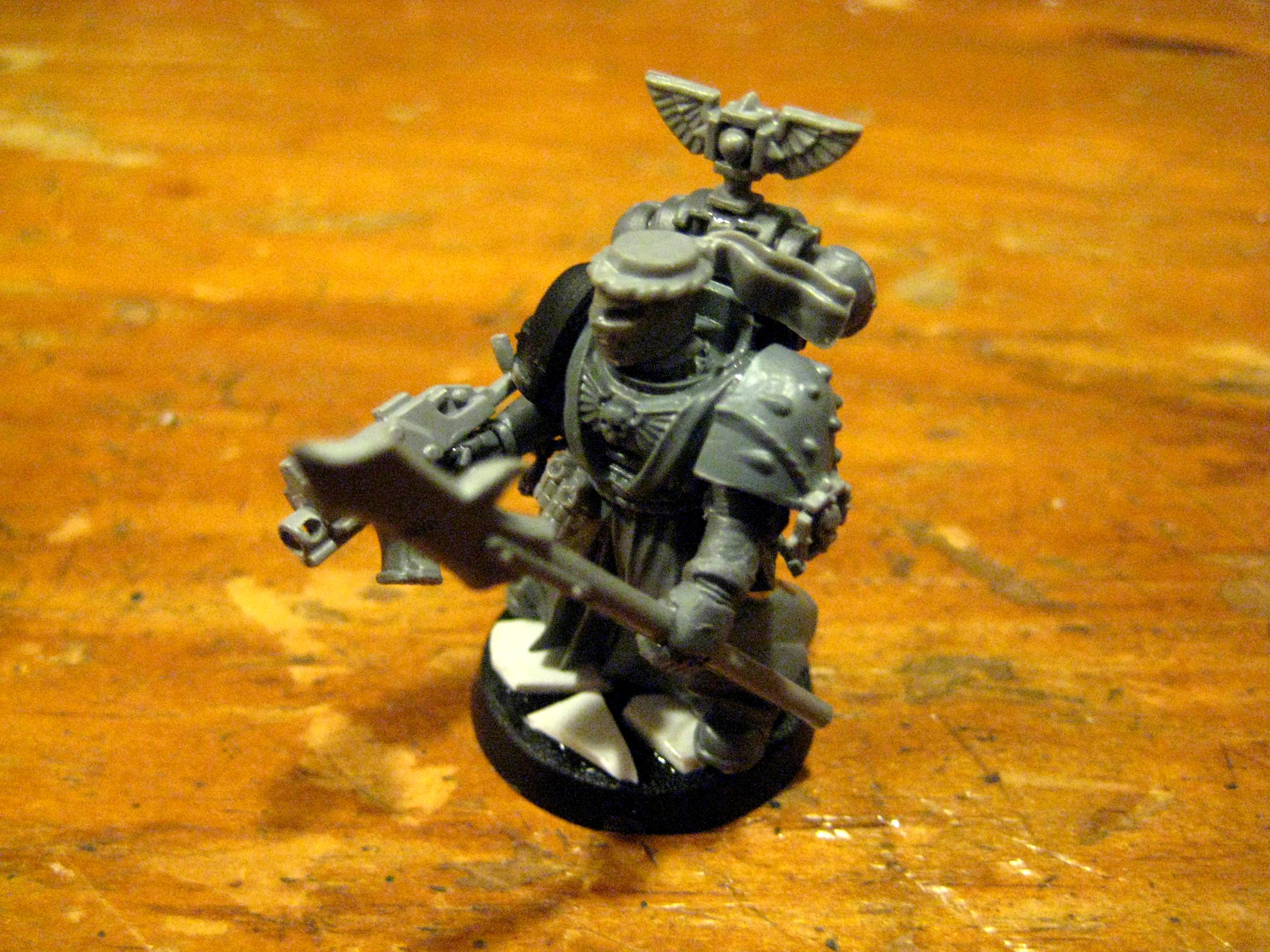 Great Marine Swap, Kinghts Gryphonne, Space Marines, Work In Progress