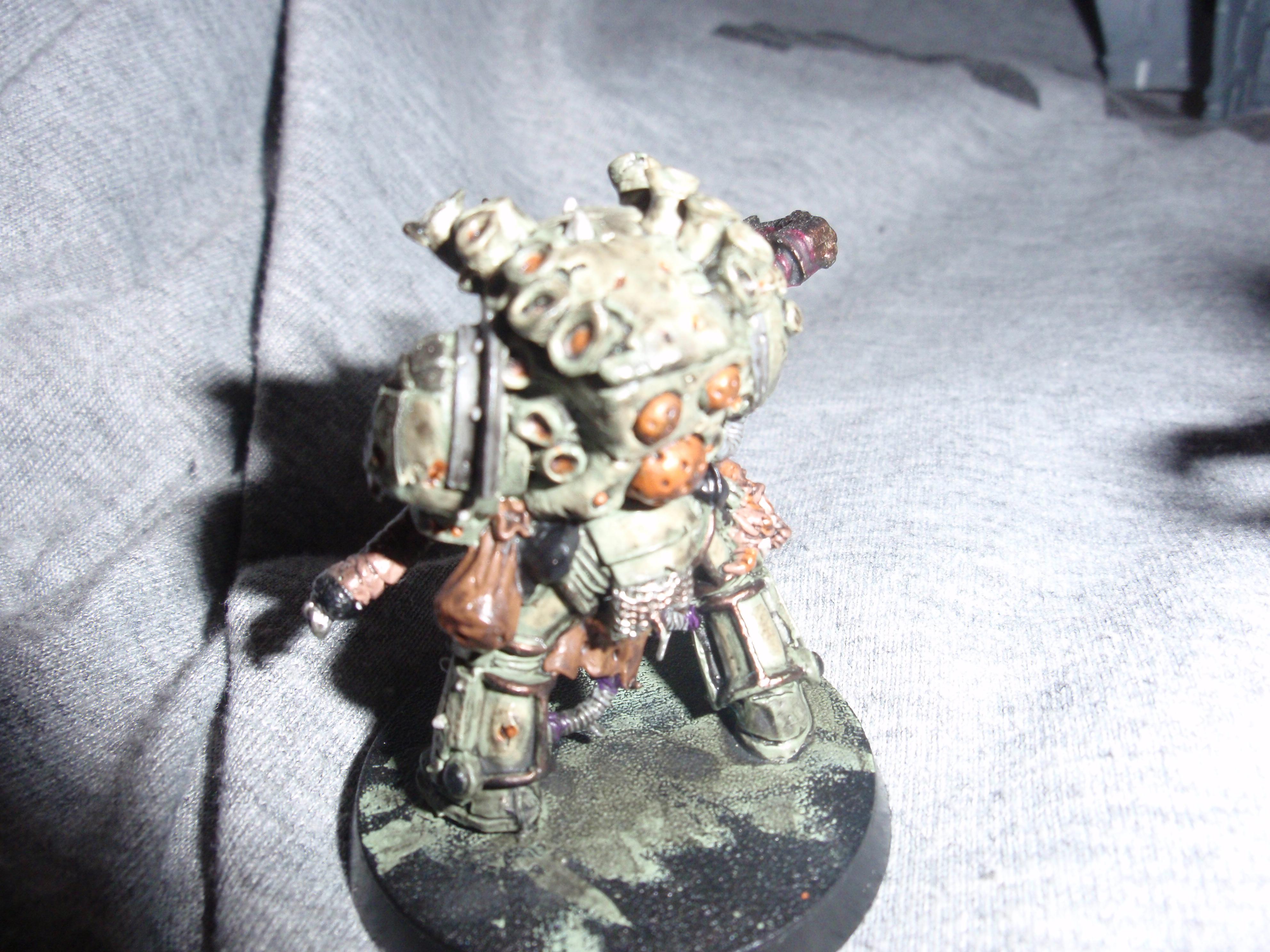 Typhus