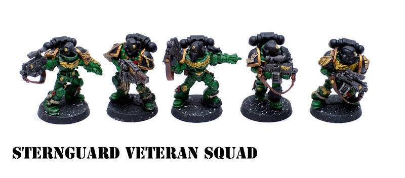 Salamanders, Space Marines, Sternguard Vetrans