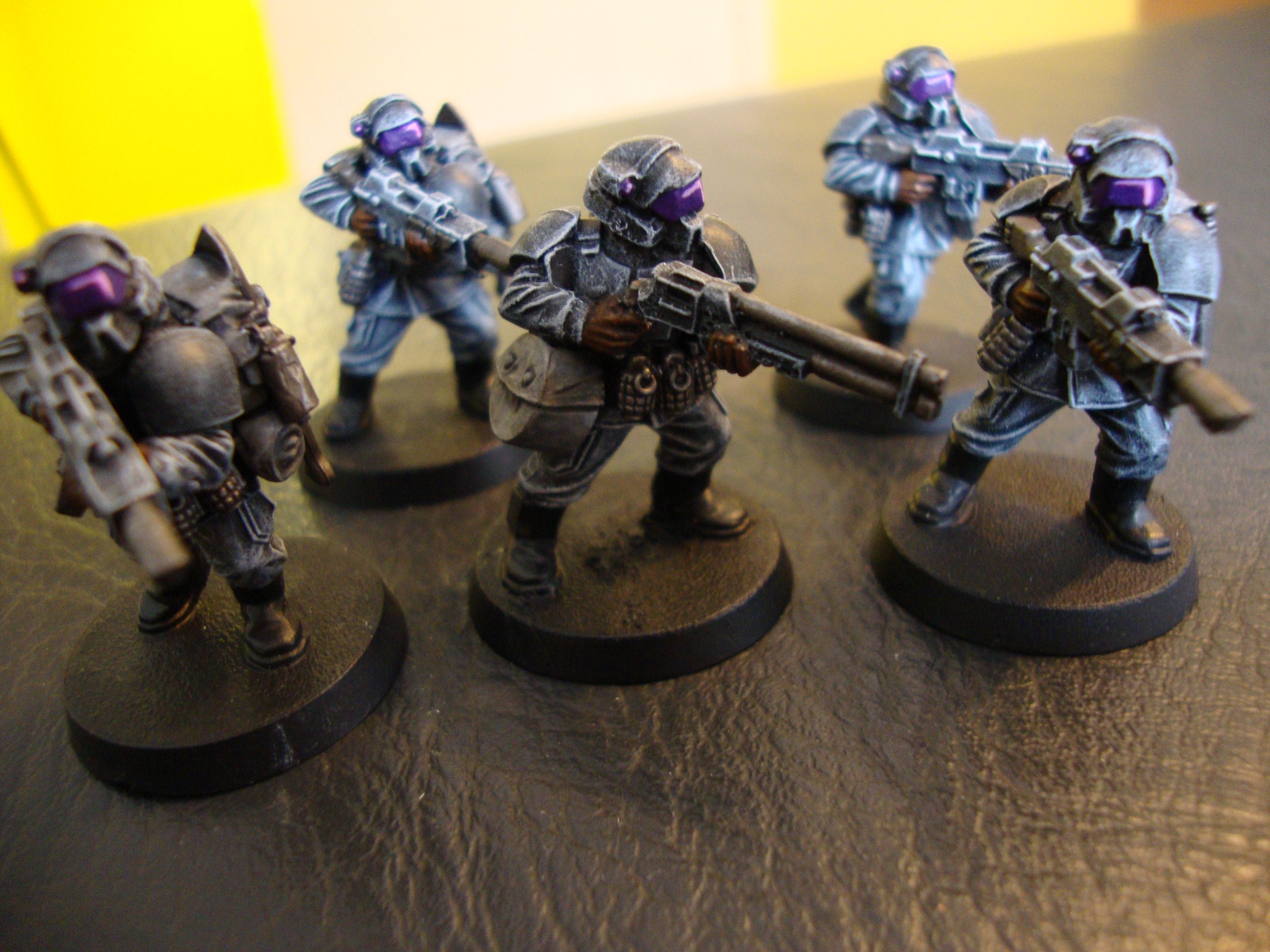 wip vets 1 1