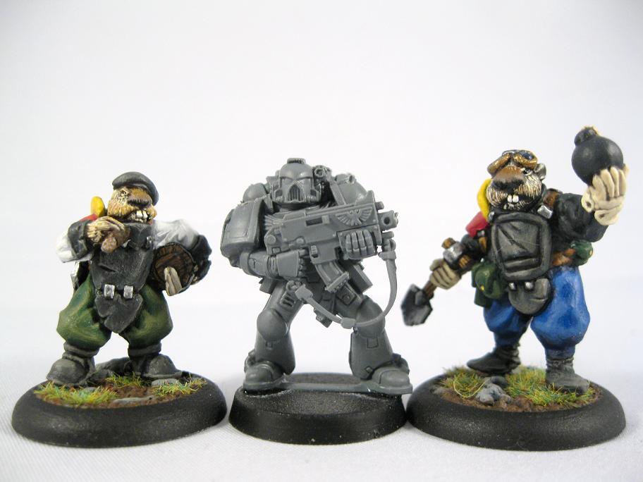 Brushfire, Size Compare - Gopher Engineers