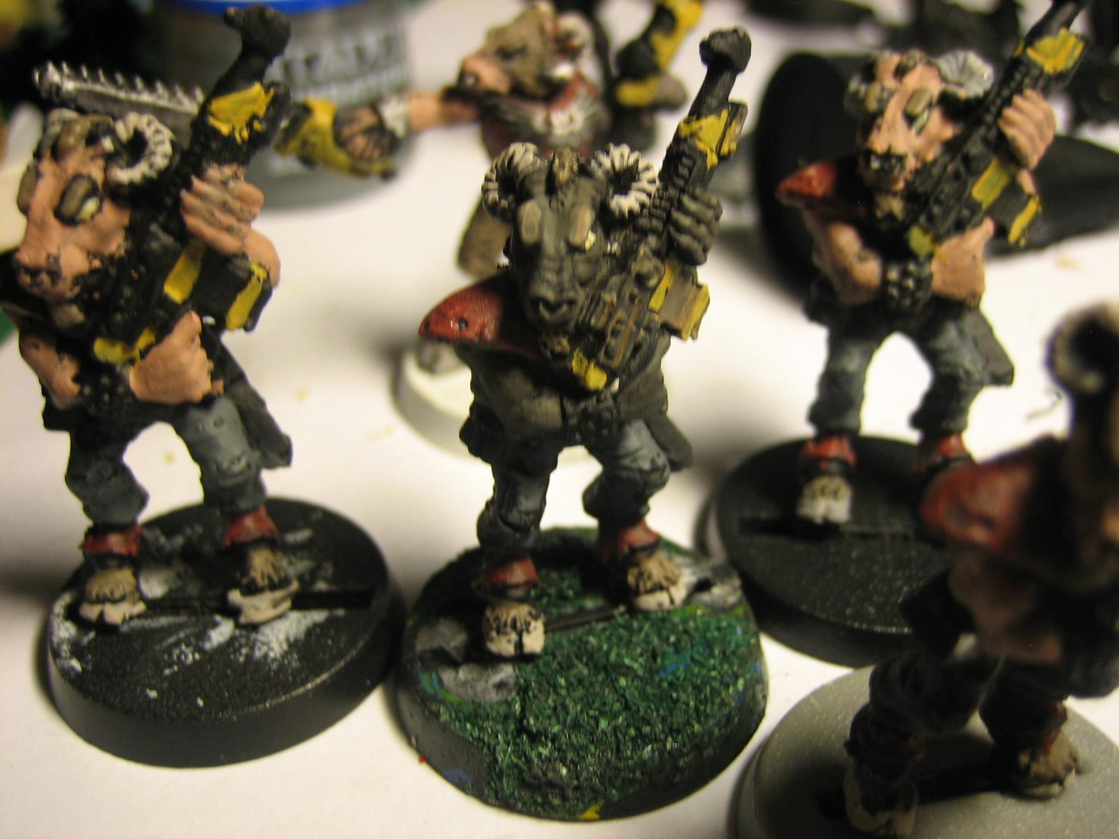 Beastmen, Imperial Guard, Rogue Trader