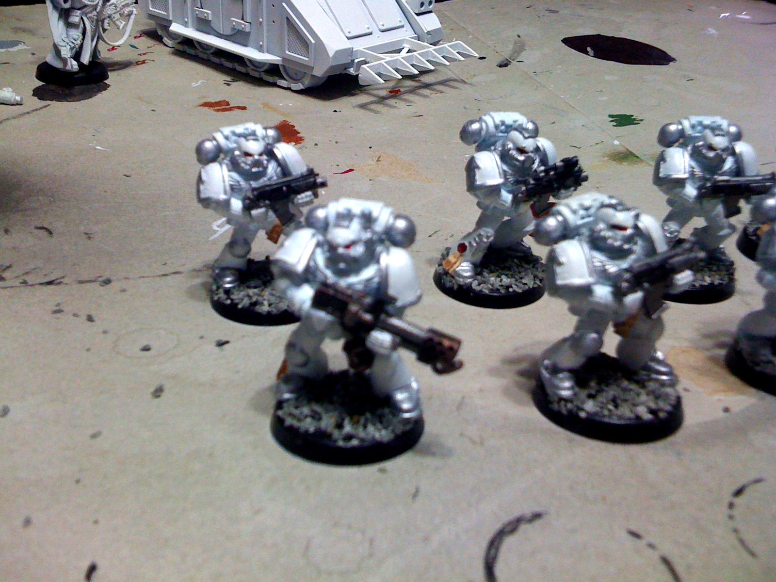 Imperial Pride, Space Marines, Tactical Squad