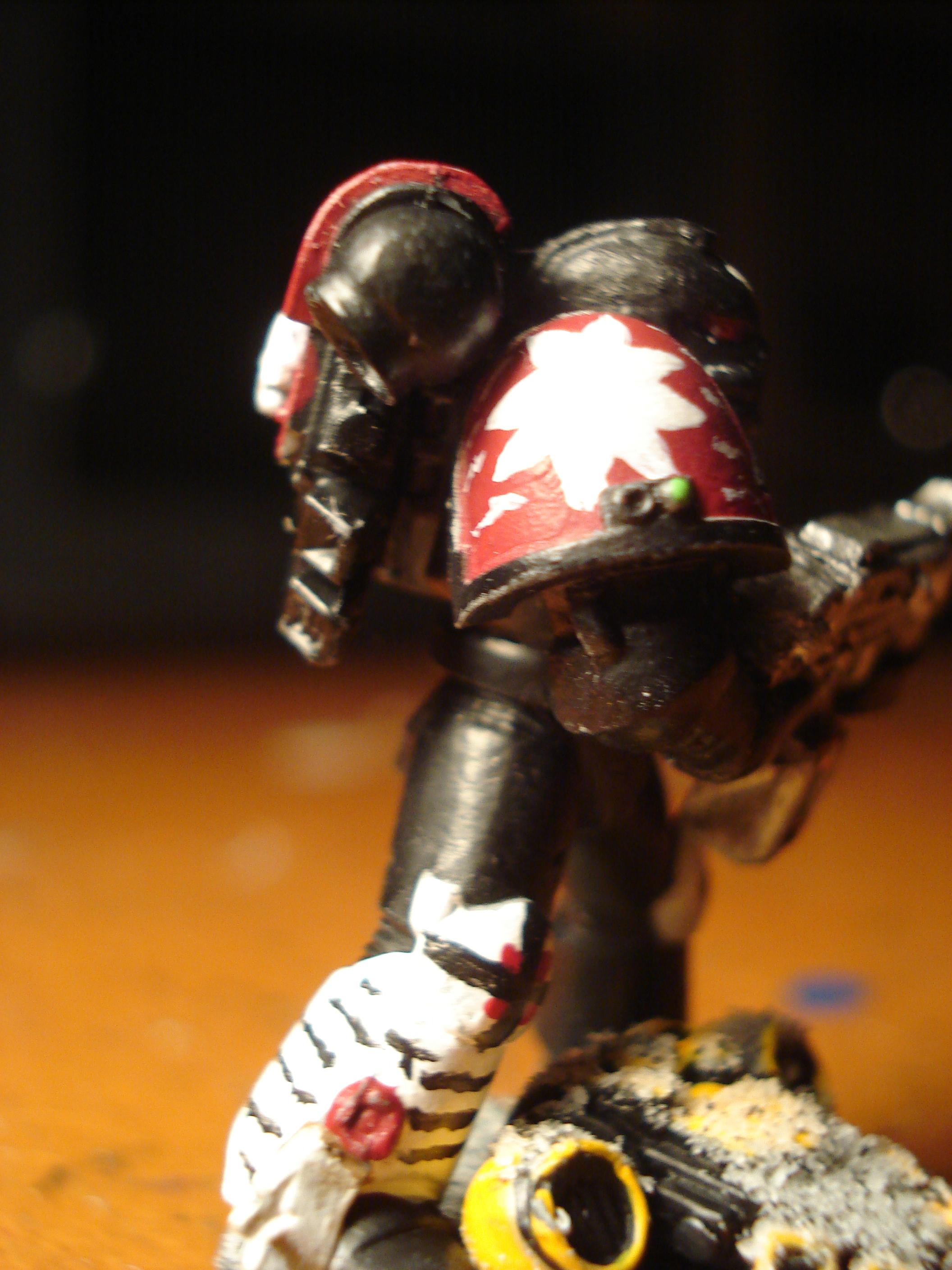 Black Templars, Great Marine Swap, Space Marines, Sternguard, Veteran