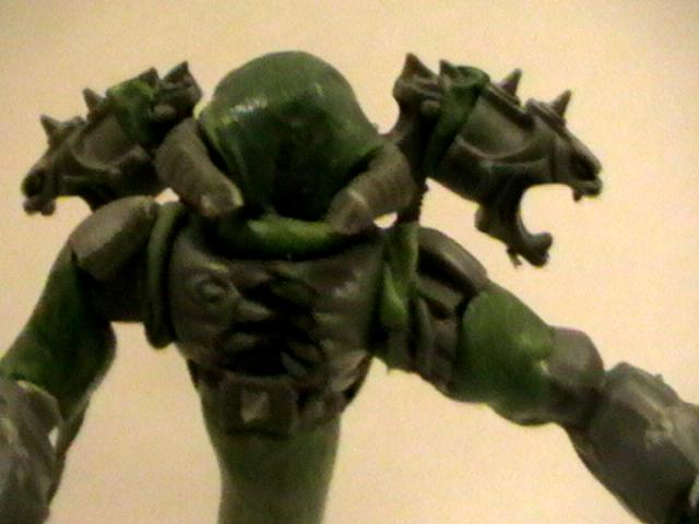 DP close up