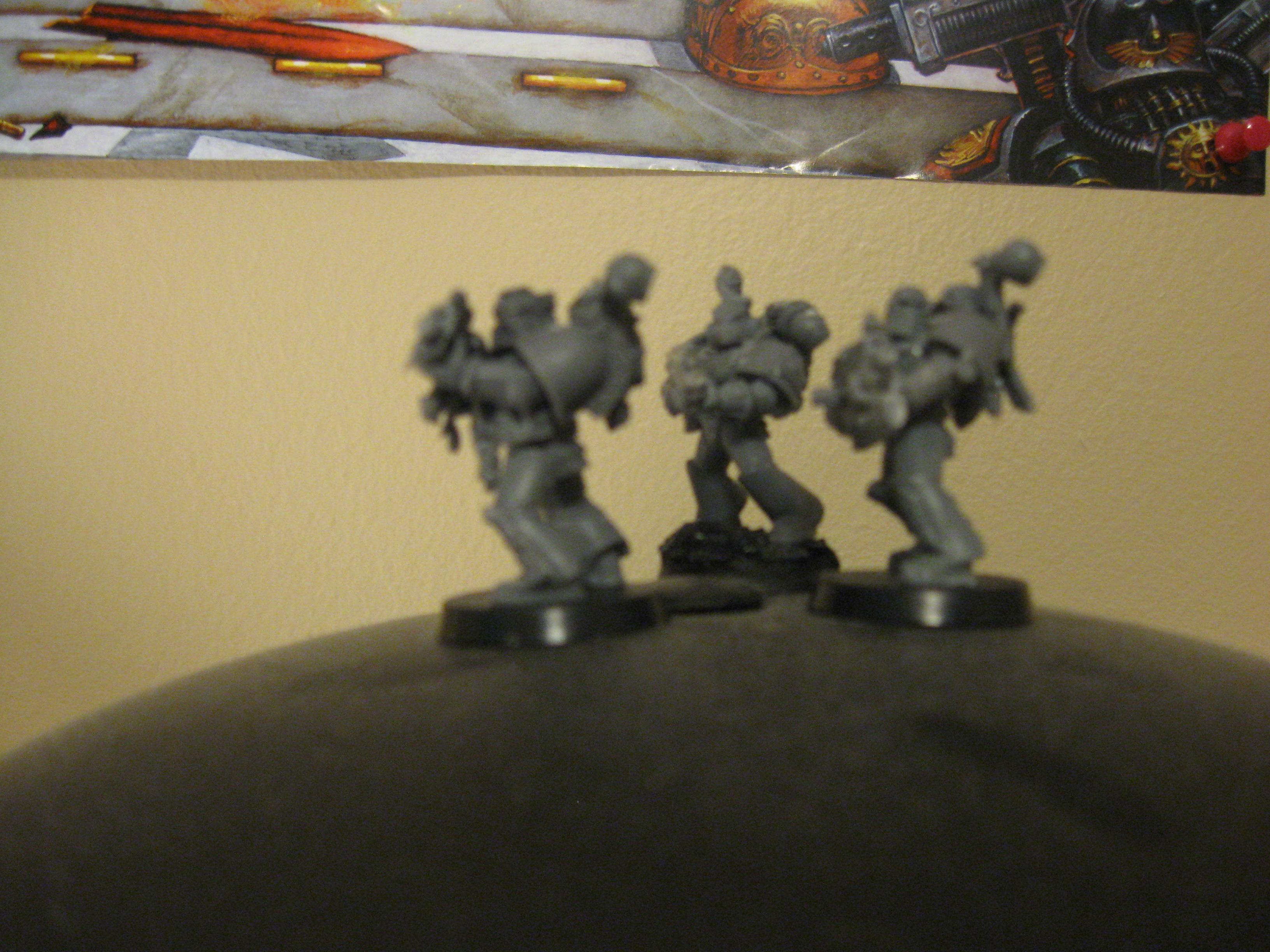 10th company sternguard