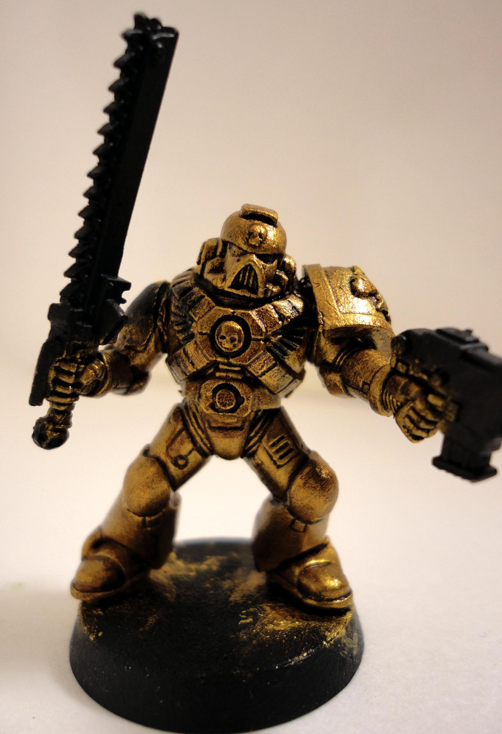 Lion Warriors, Space Marines
