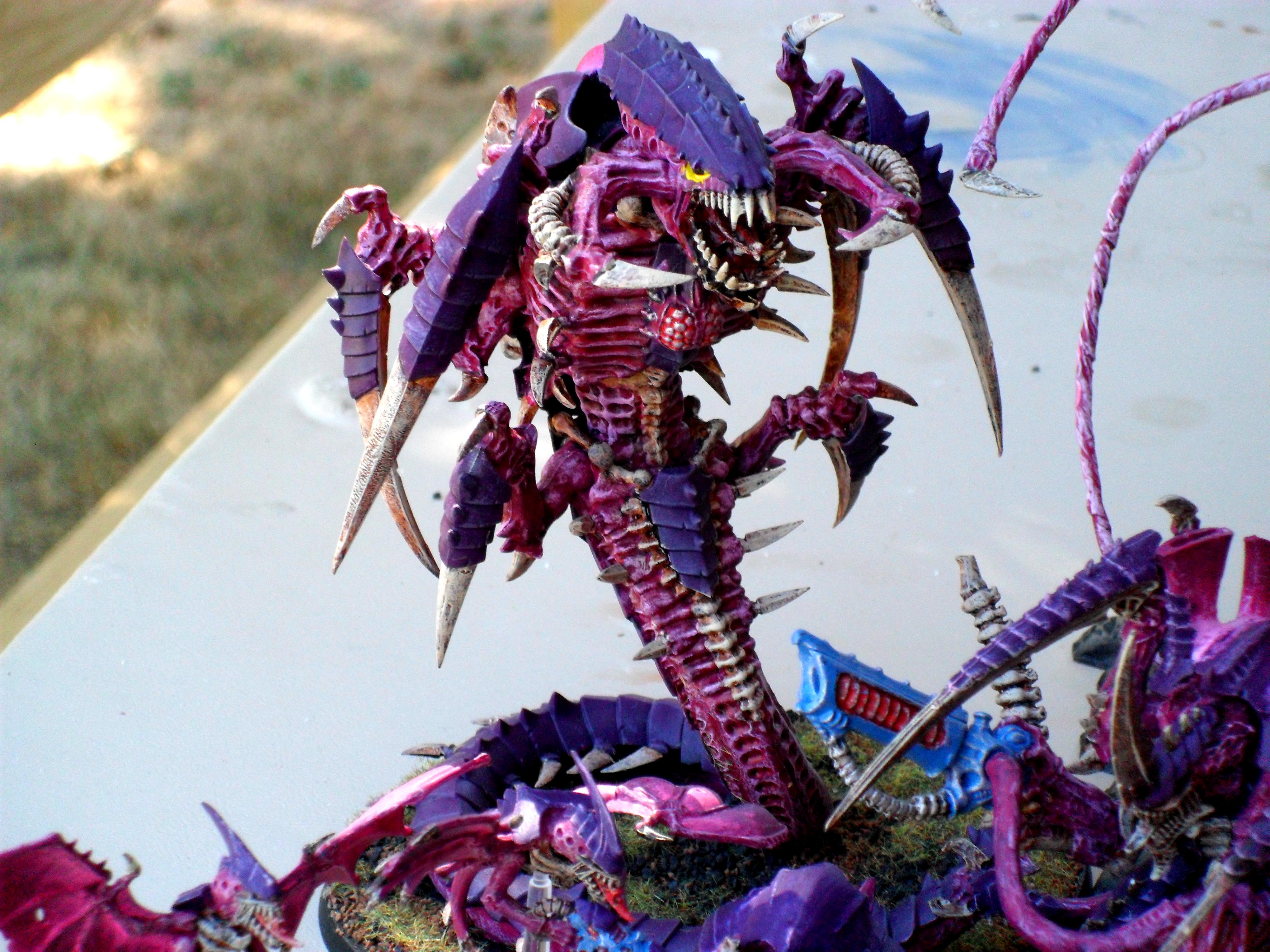 Trygon