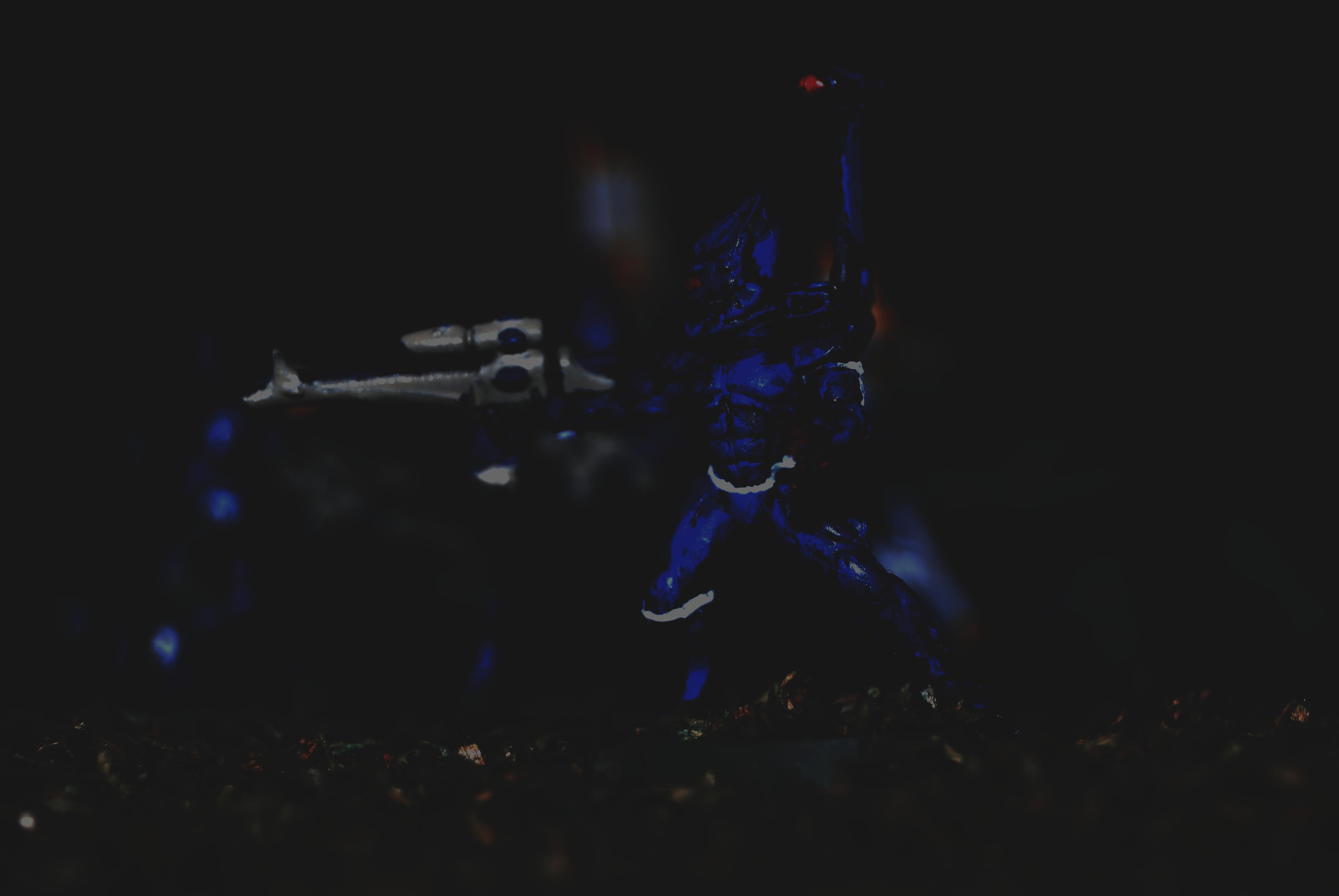 Aliatoc, Eldar, Guardians