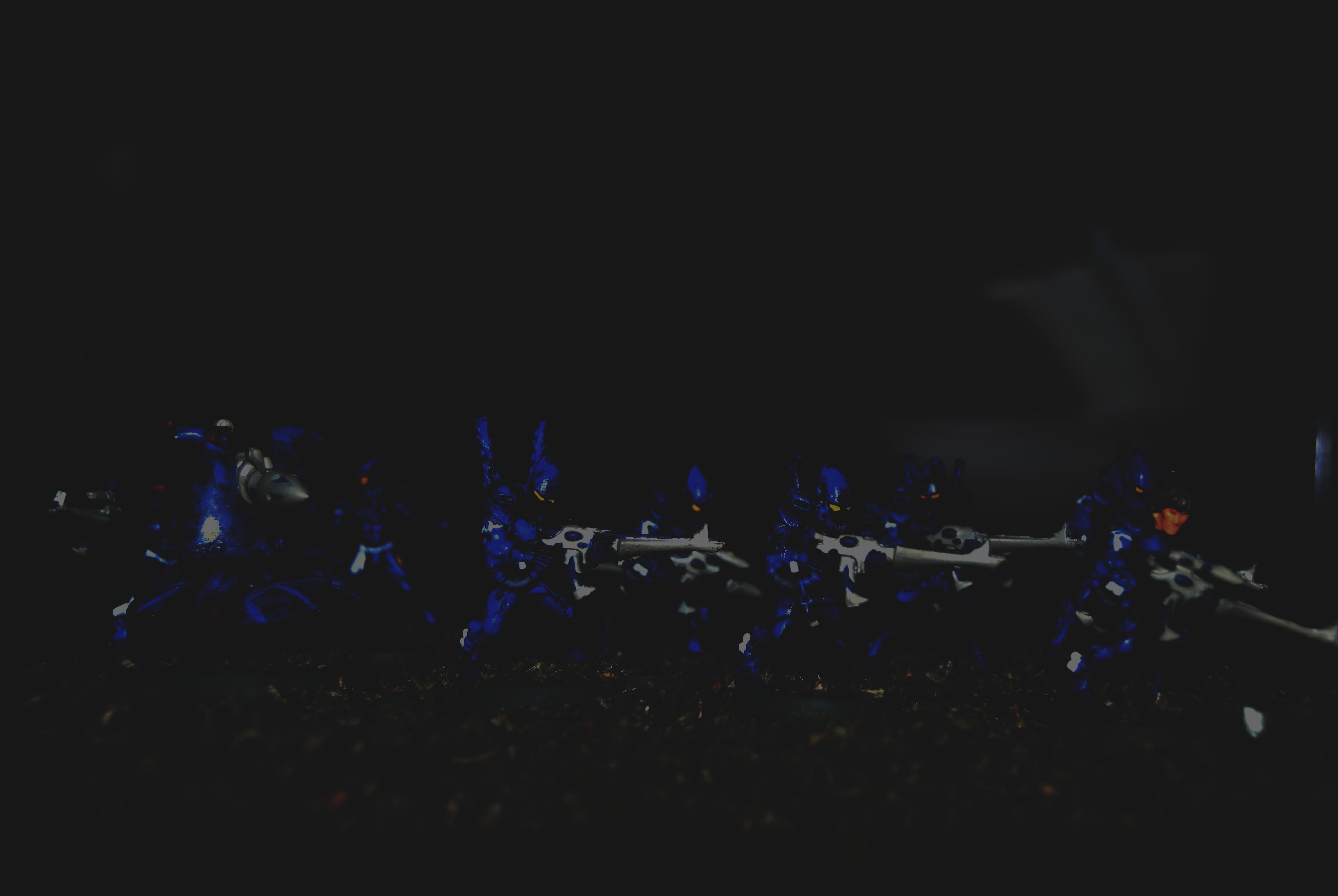 Aliatoc, Eldar, Guardians
