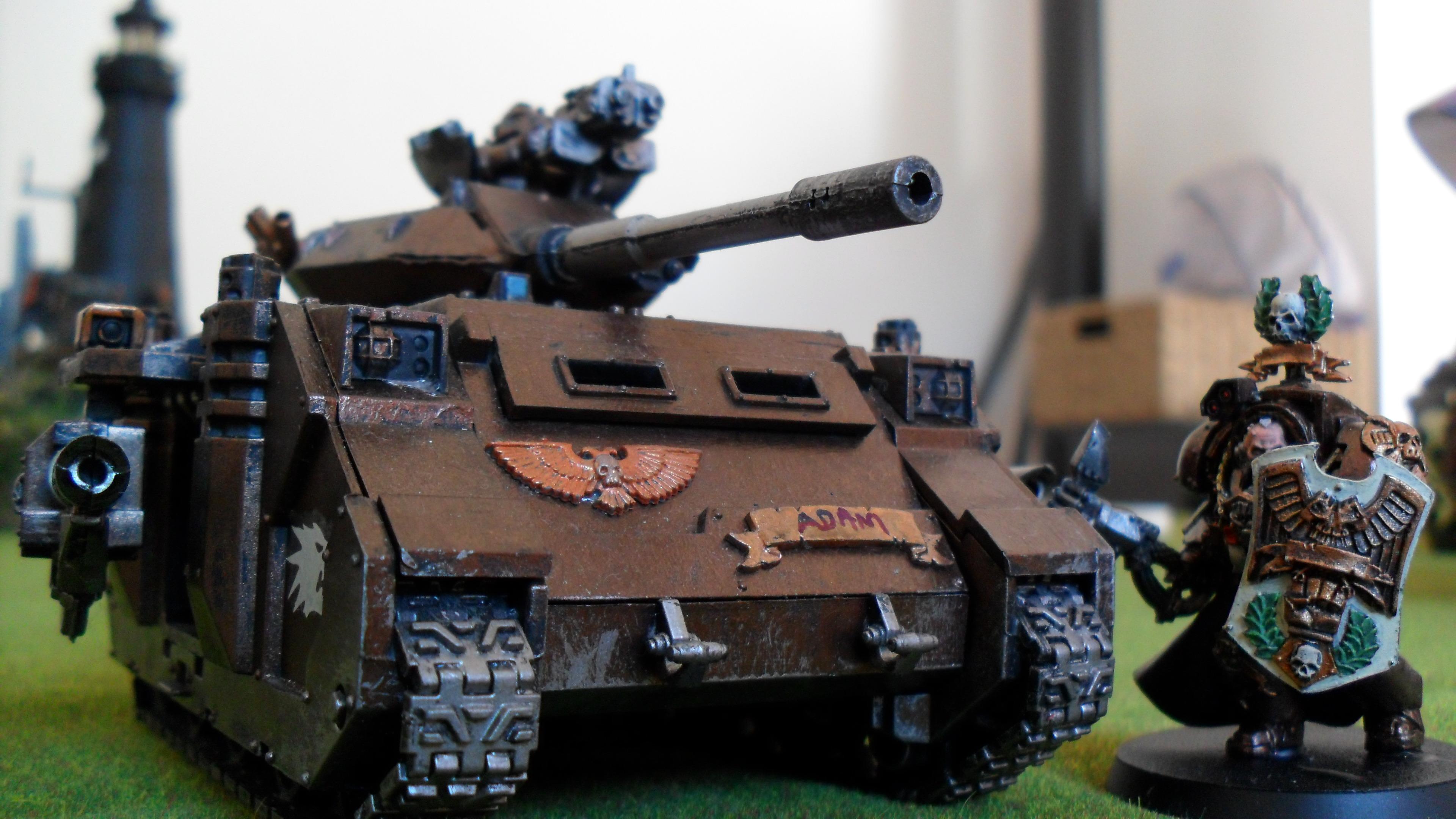 Lysander, Predator, Salamander