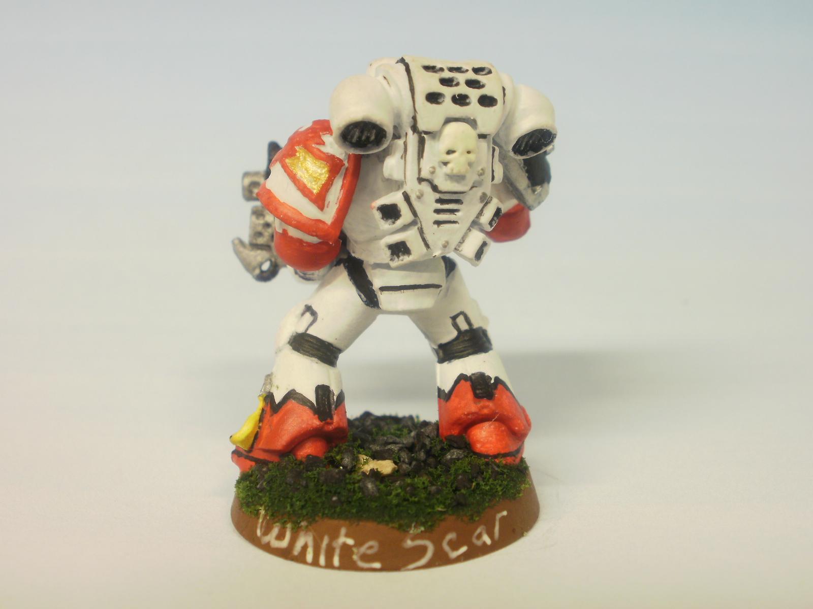 White Scar - rear
