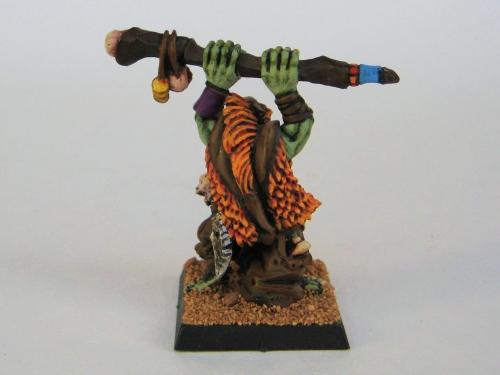 Goblins, Orc Shaman, Orcs, Warhammer Fantasy