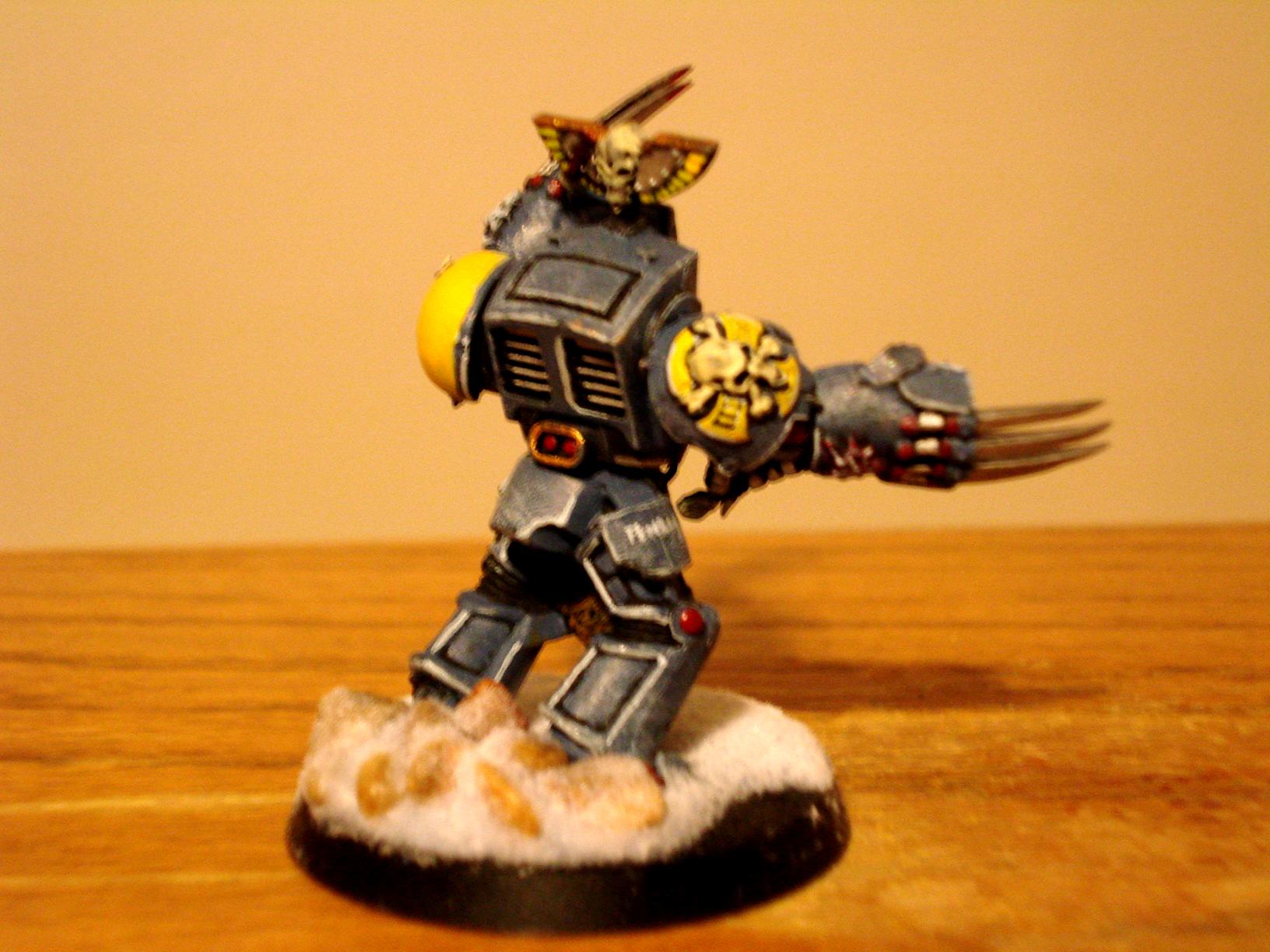 Spaace Wolf, Space Wolves, Space Wolves Terminator, Terminator Armor