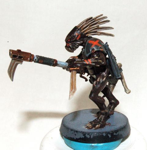 Kroot, Tau, Kroot Carnivore