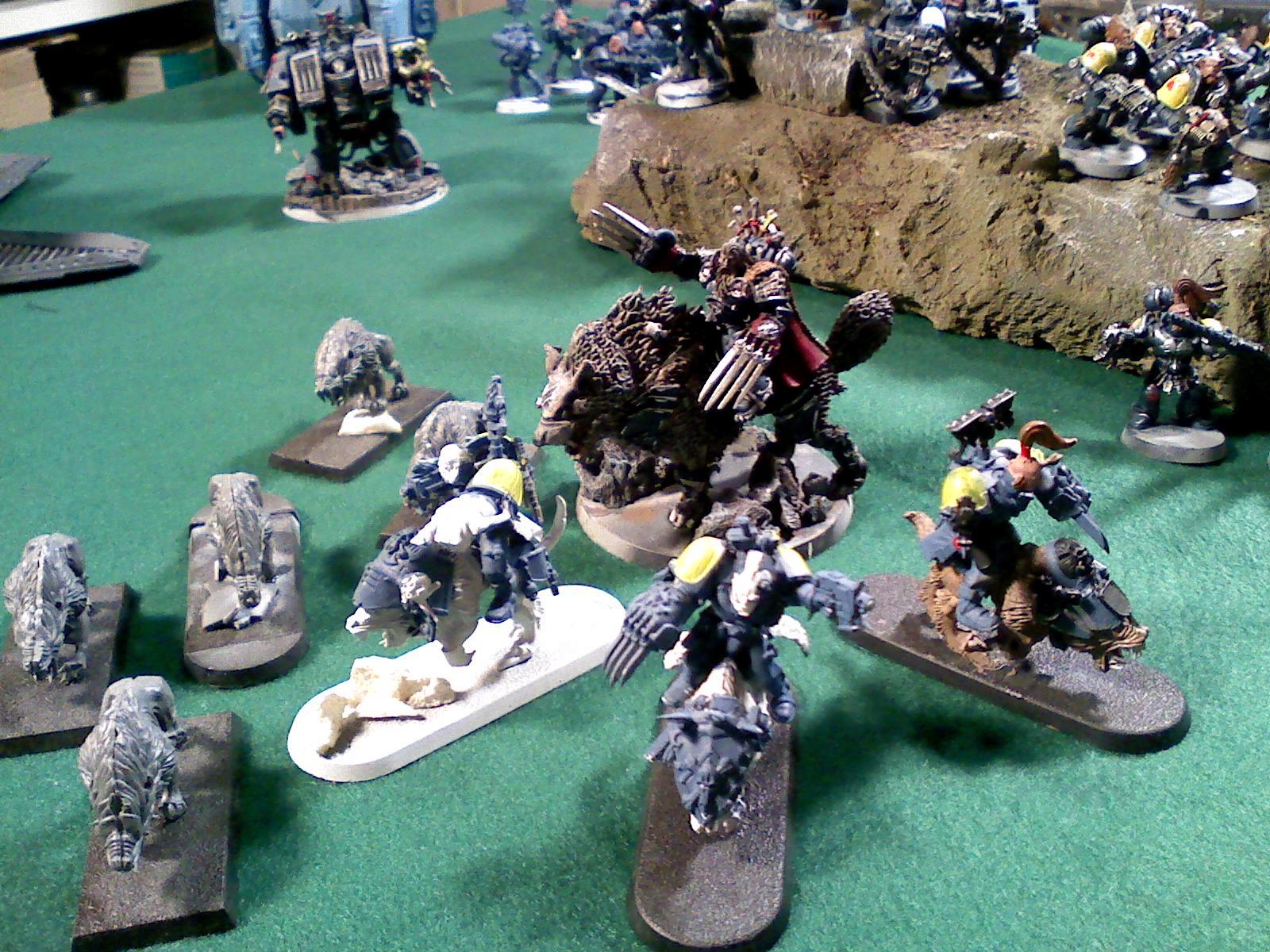 Canis and a few Thunder Calv converts and Fen wolves