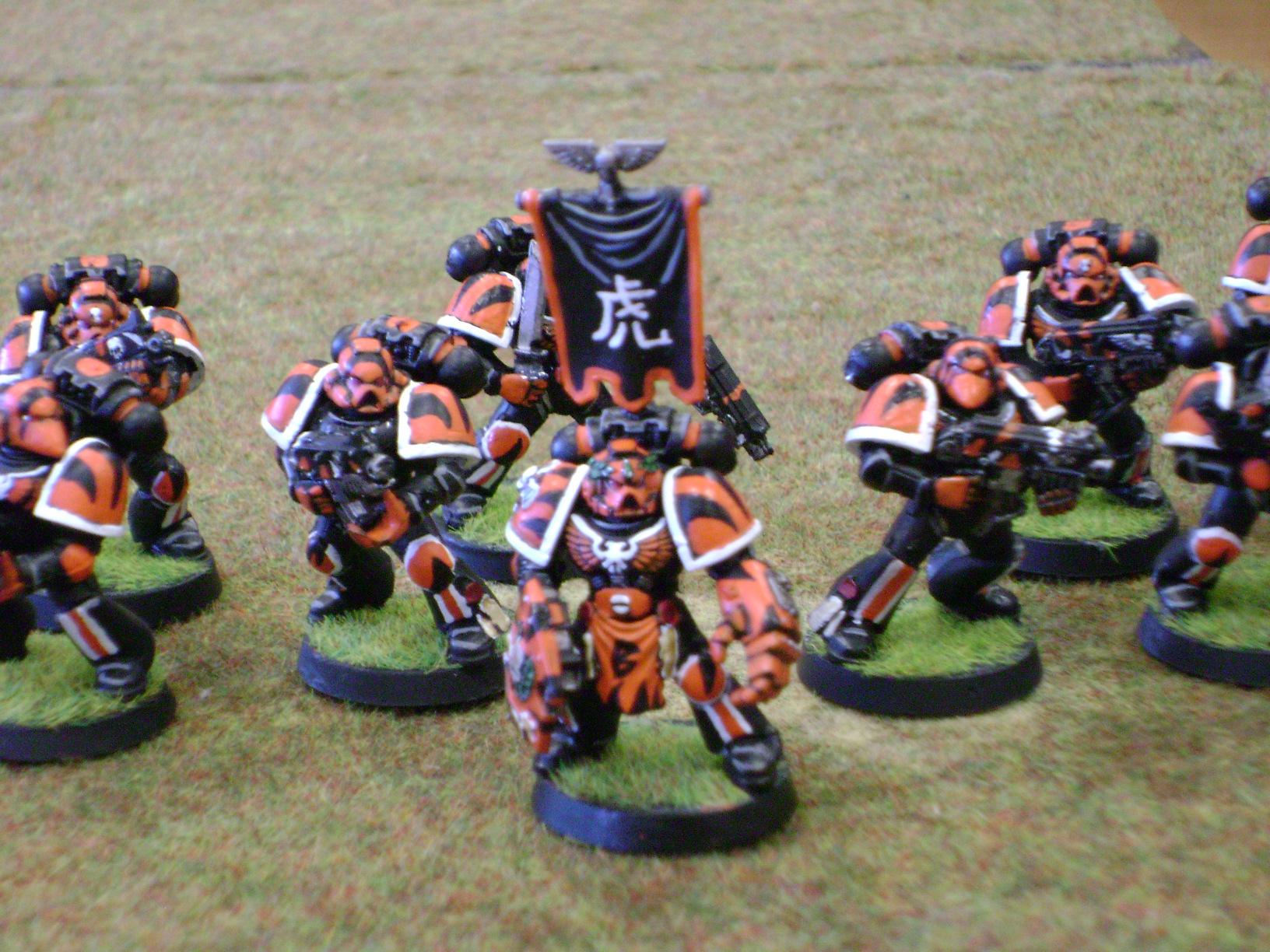 Space Marines, Tactical Squad, Tiger
