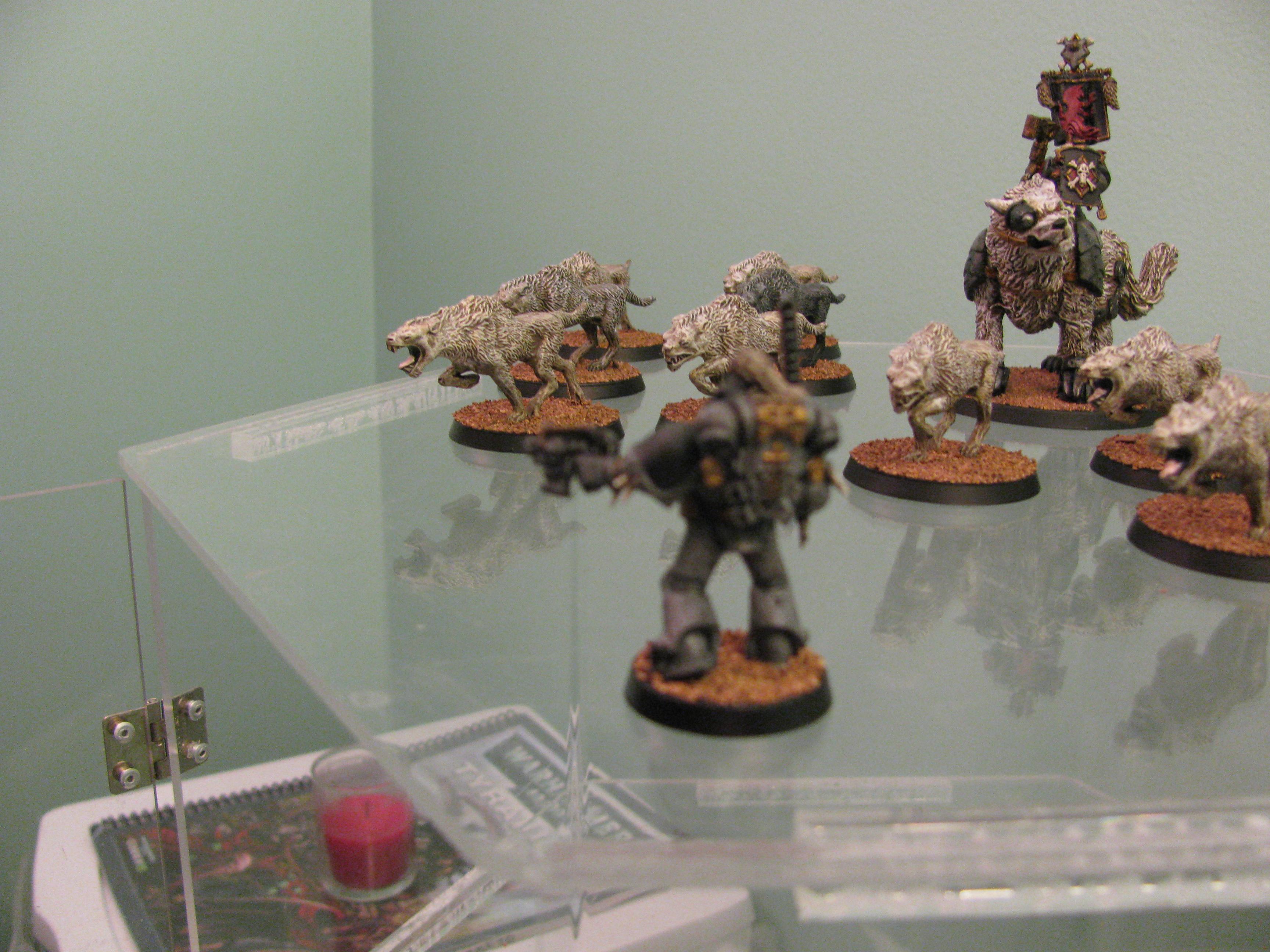 Fenrisian Wolves, Lotr Conversion, Space Wolves