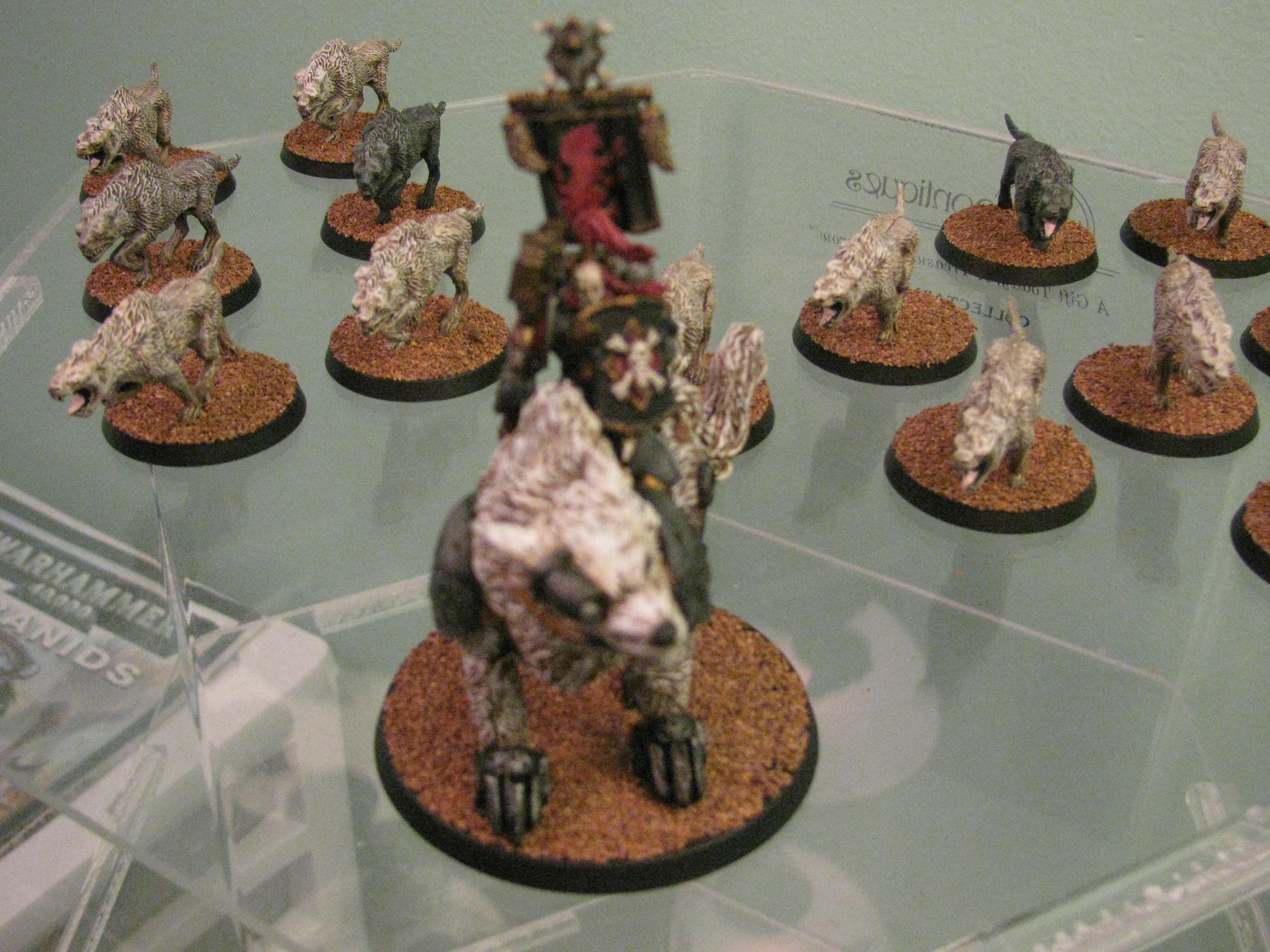 Space Marines, Space Wolves, Thunderwolf Cavalry, Warhammer 40,000