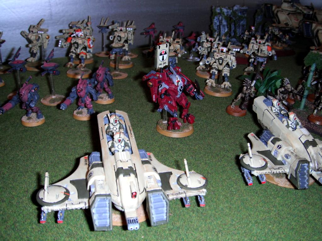 Pirahna, Tau, Tau Army pic4