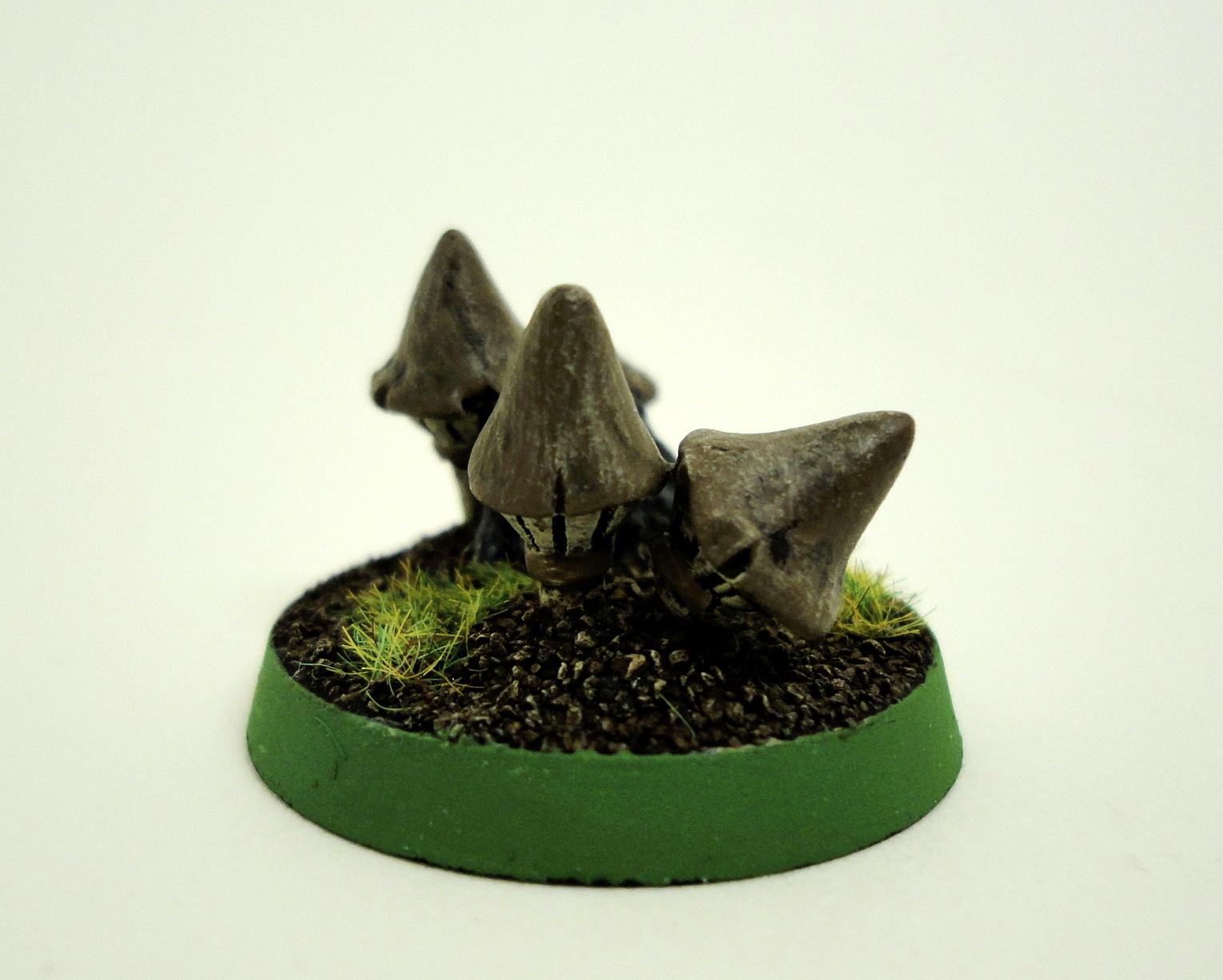 Ork Mushrooms
